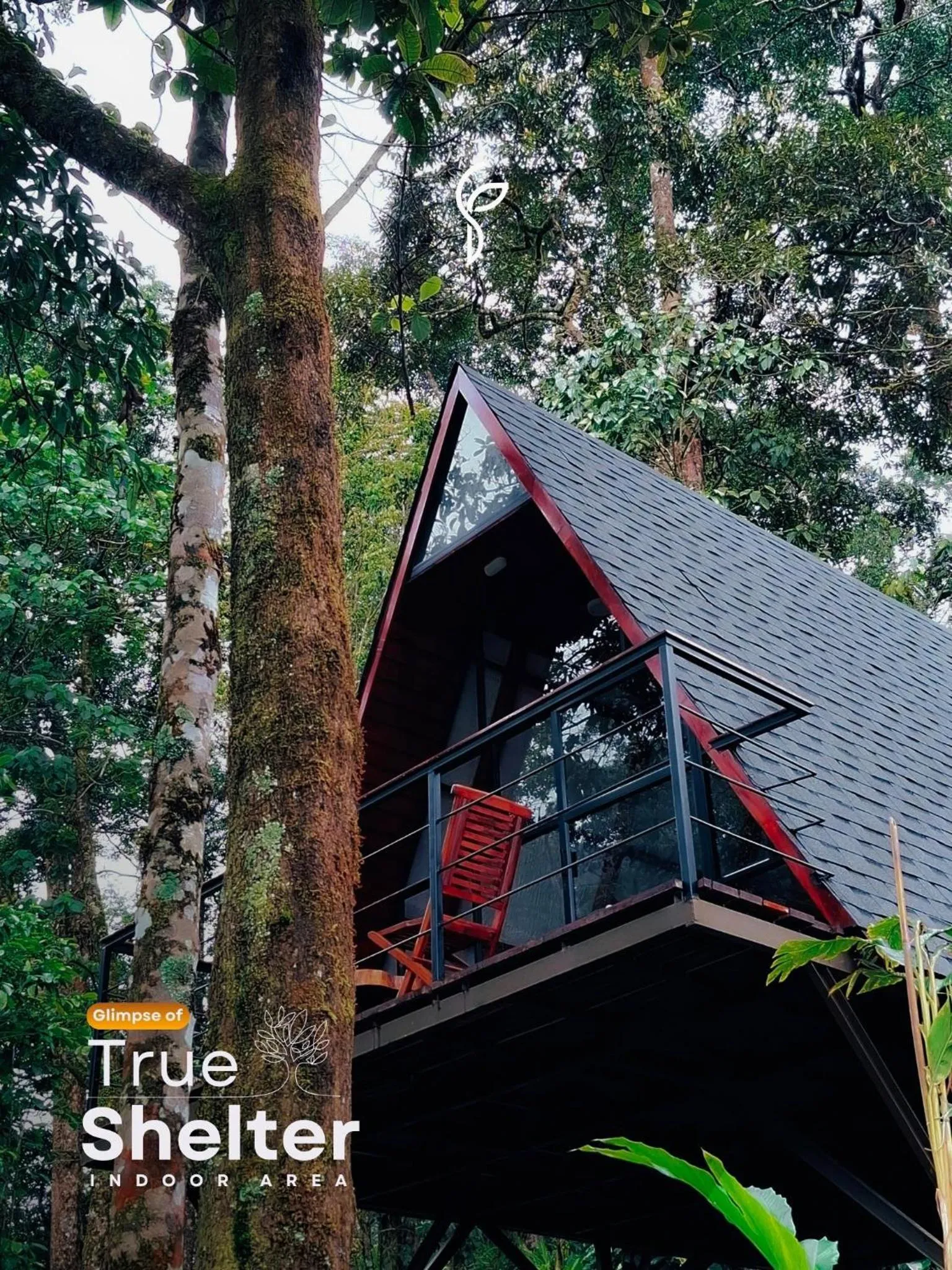 Natural landscape in Forestscape Resort Munnar