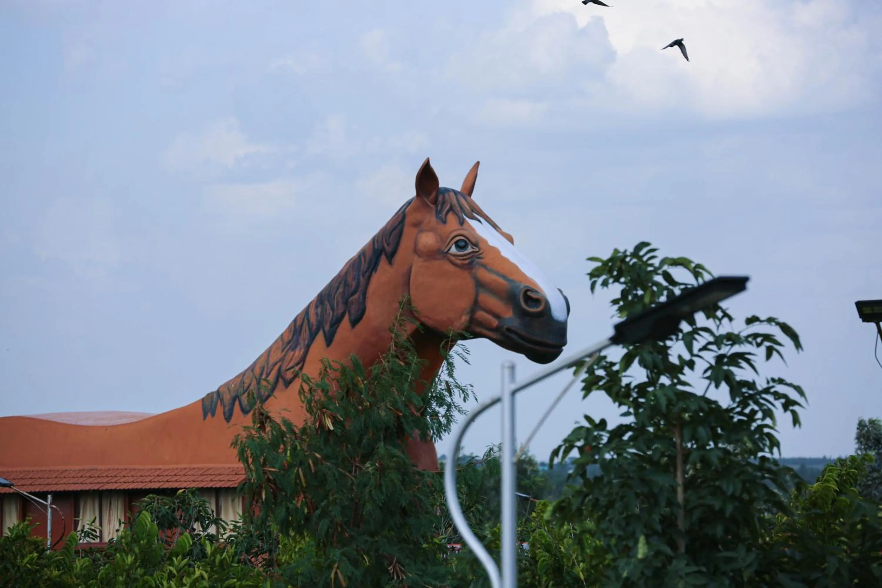 View (from property/room) in Champions Ranch