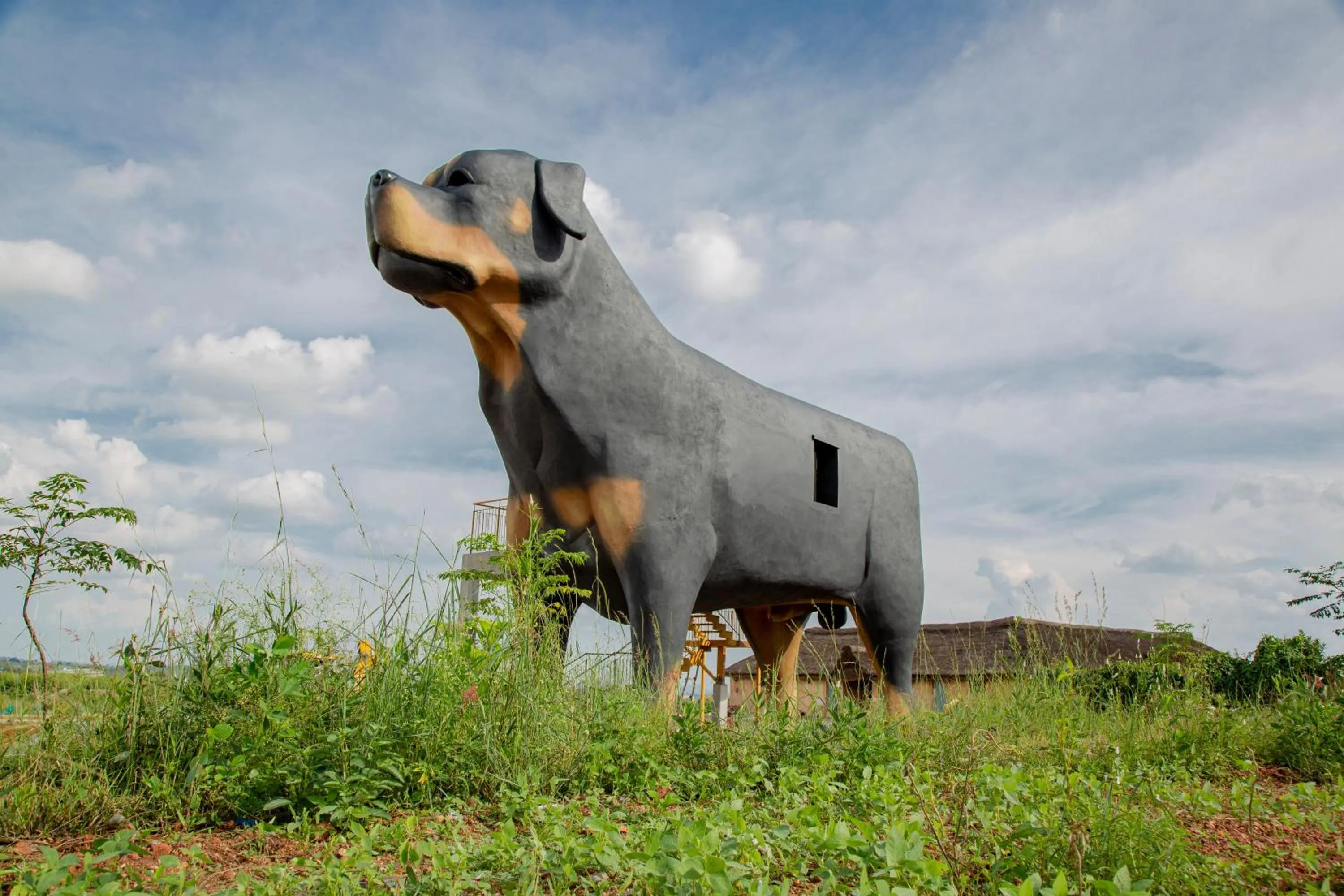 View (from property/room) in Champions Ranch