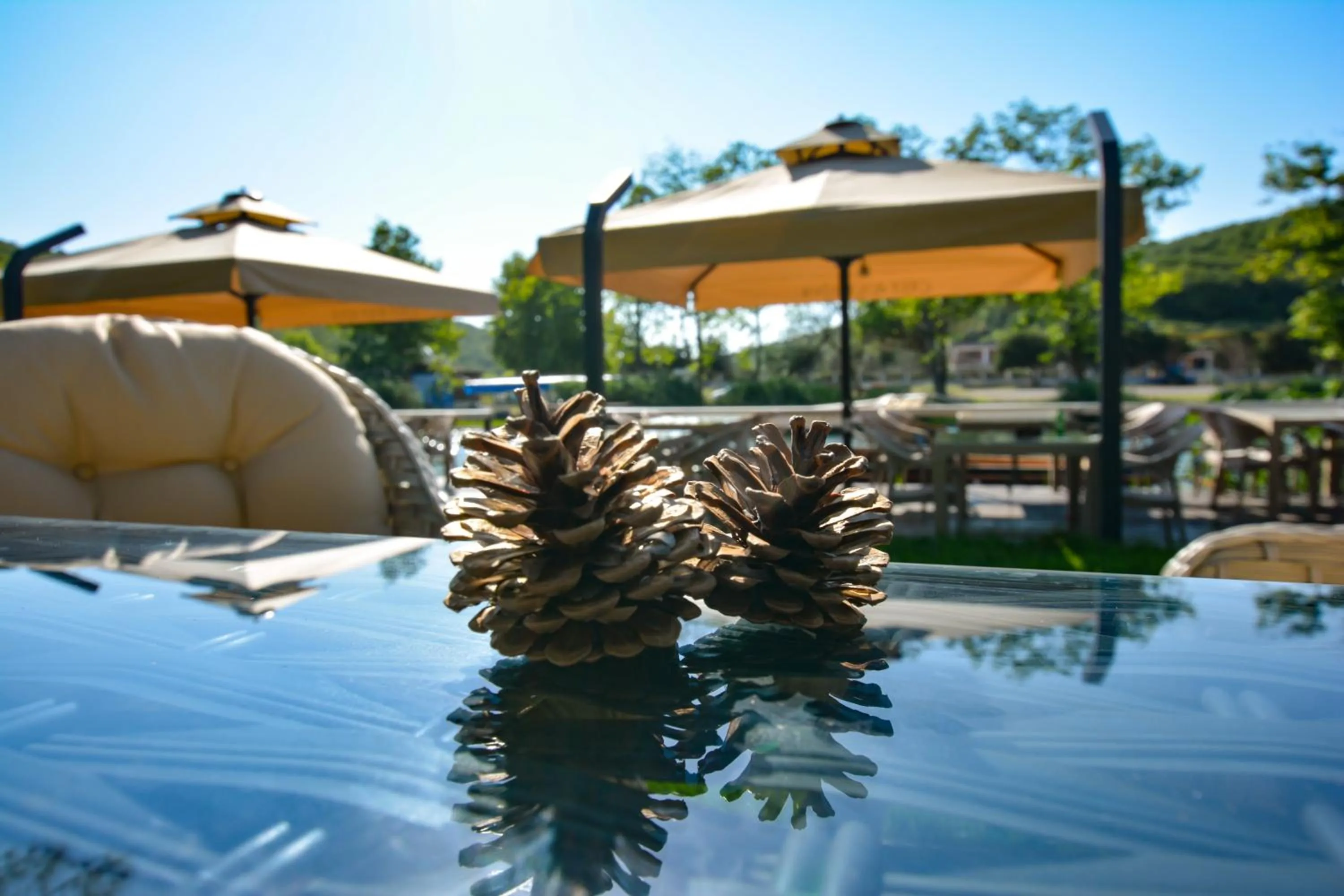 Ağva Casa Rosa Bungalov Otel