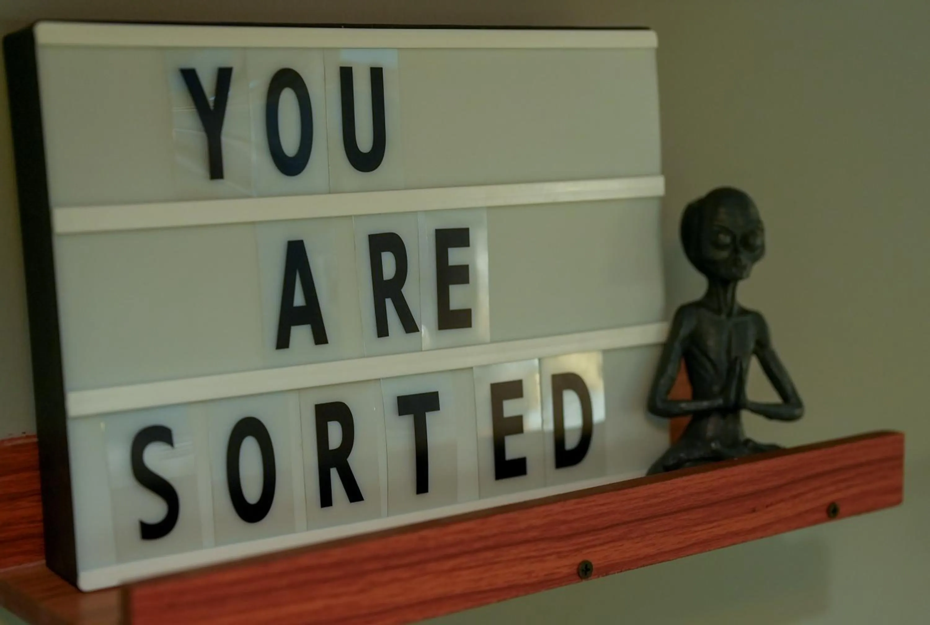 Text overlay in Sort By Stays, Grand Peddem, Anjuna