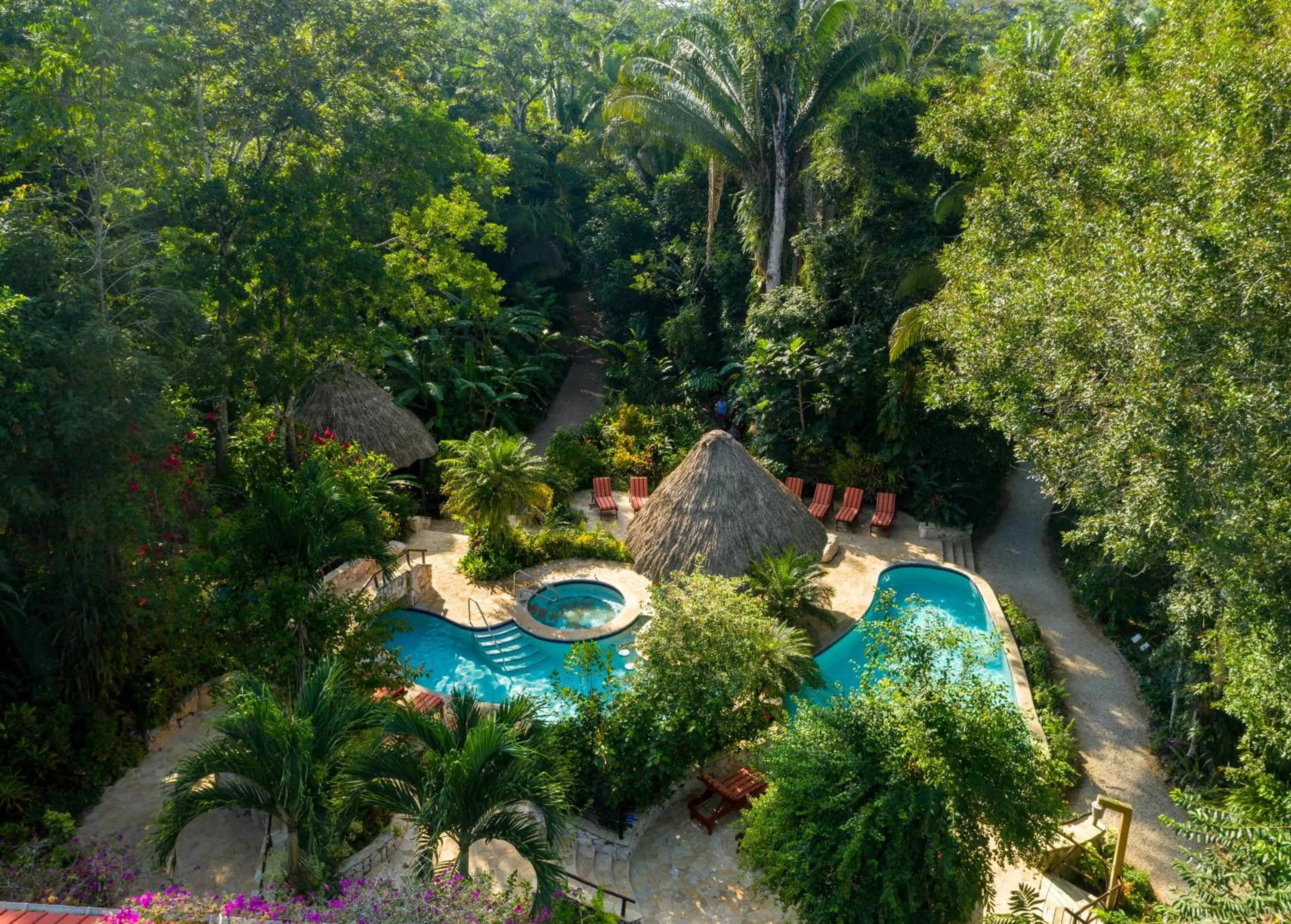 Ian Anderson Caves Branch Jungle Lodge