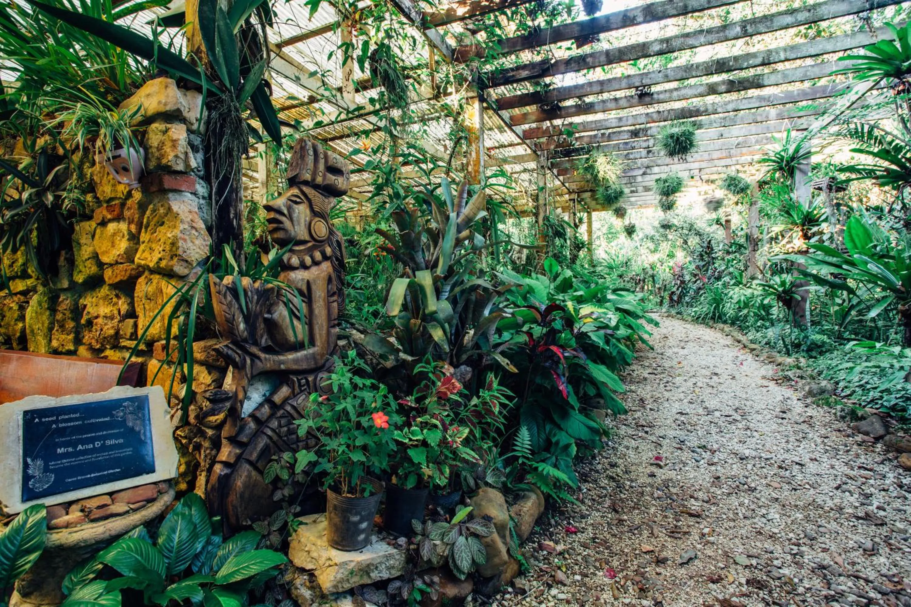 Garden in Ian Anderson Caves Branch Jungle Lodge