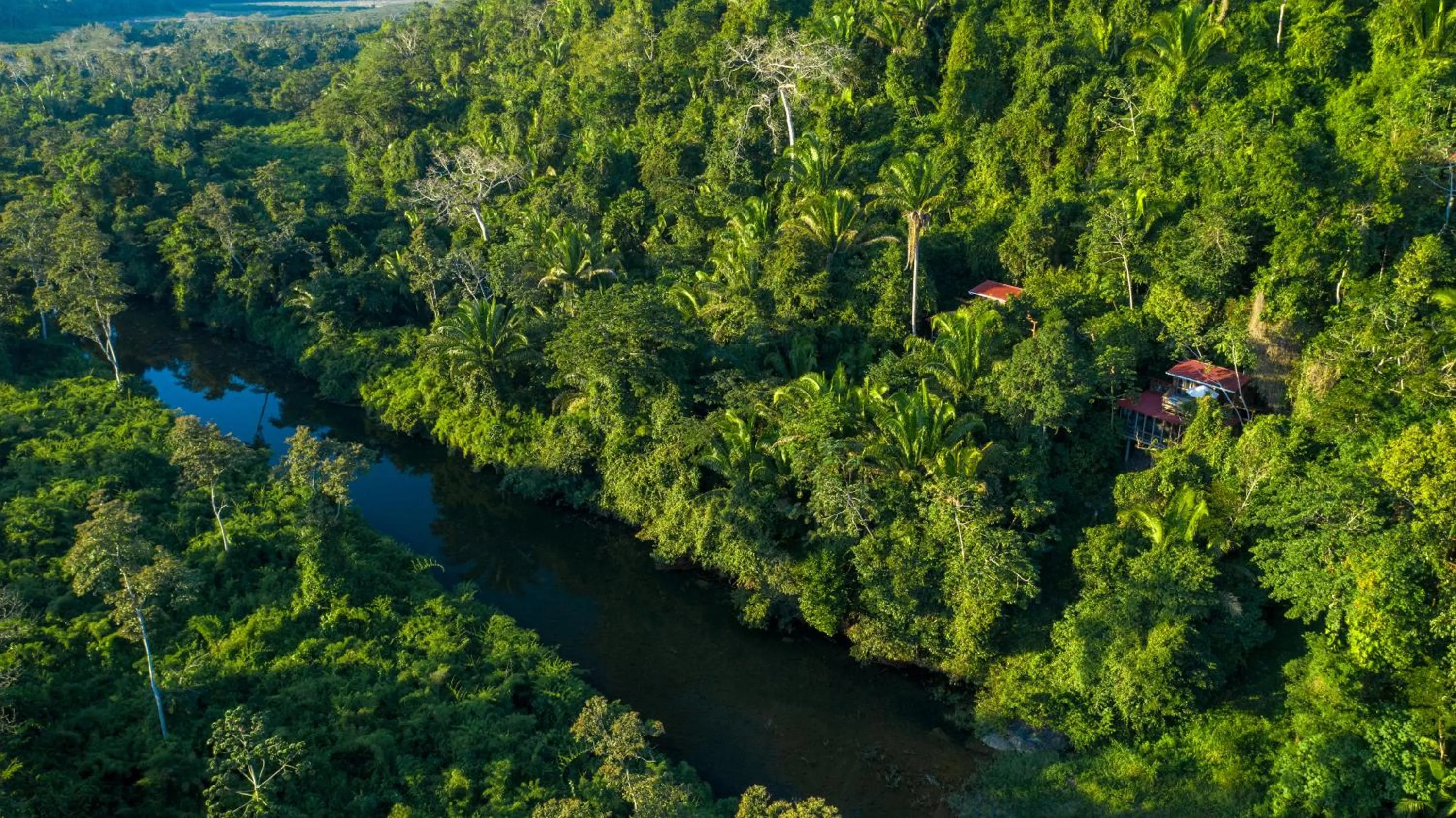 Ian Anderson Caves Branch Jungle Lodge