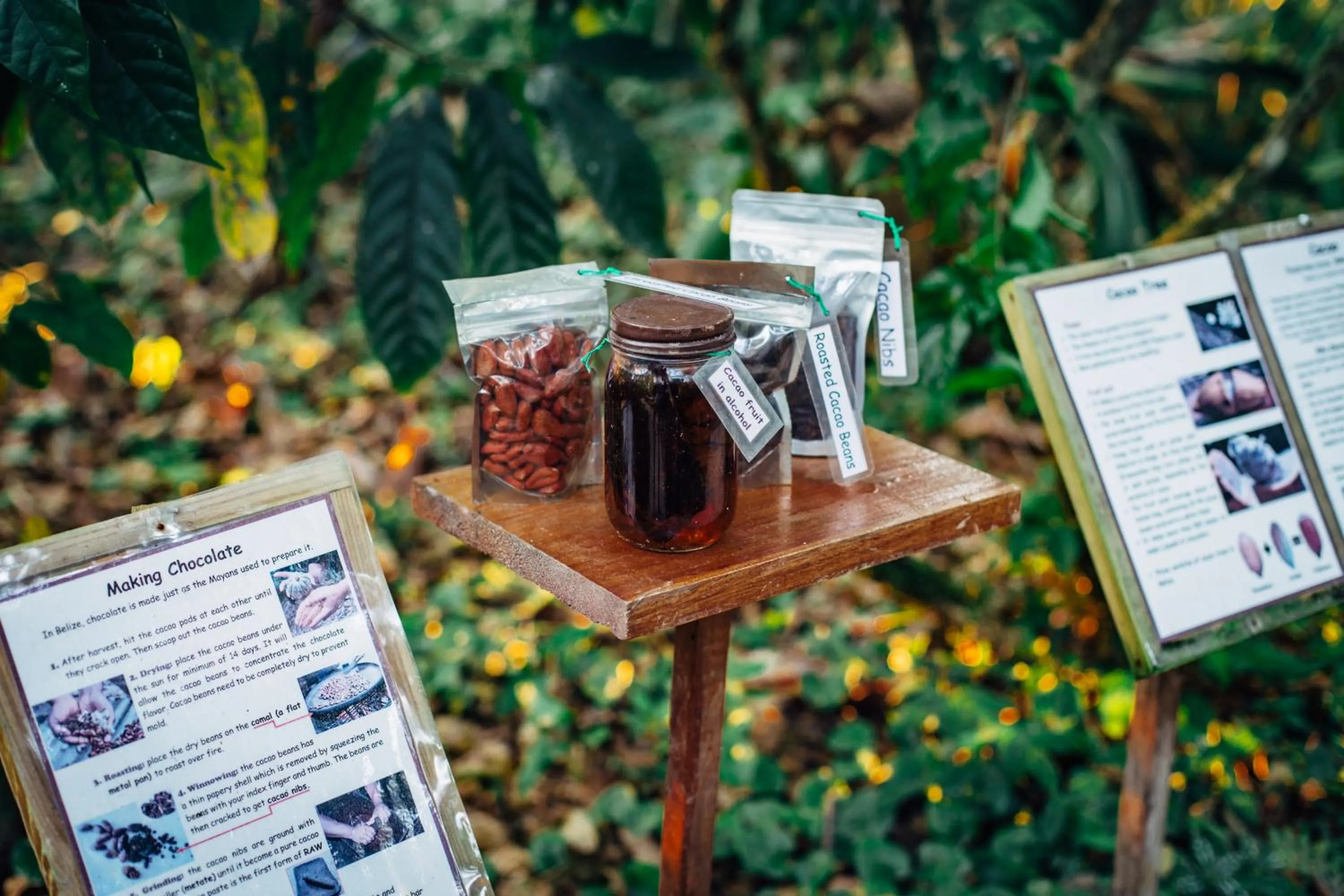 Ian Anderson Caves Branch Jungle Lodge