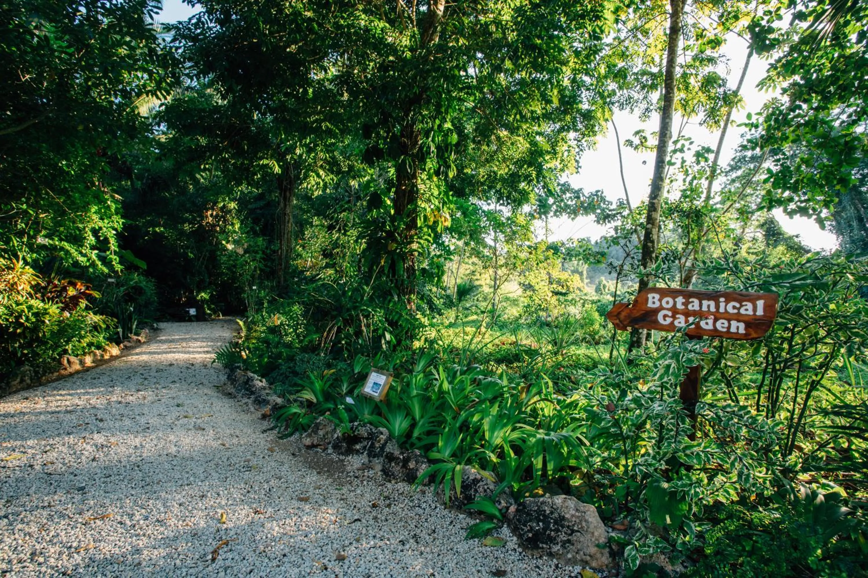 Ian Anderson Caves Branch Jungle Lodge