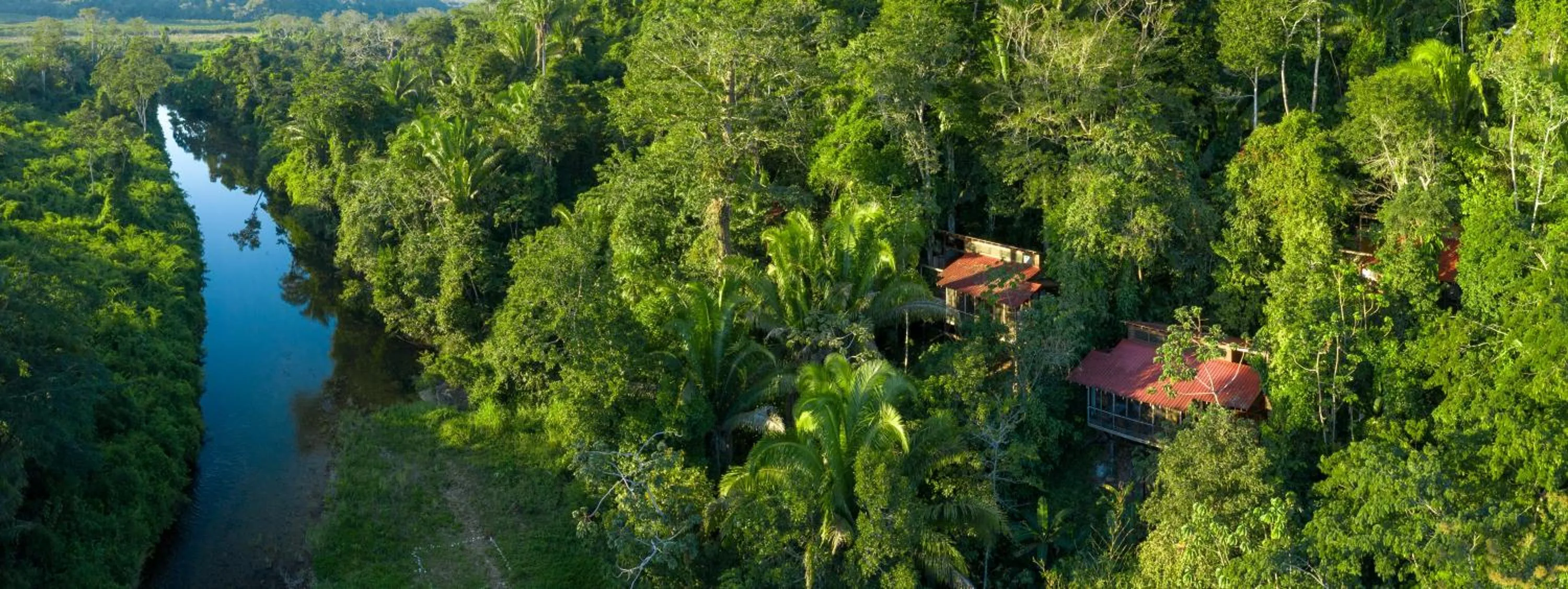 Ian Anderson Caves Branch Jungle Lodge