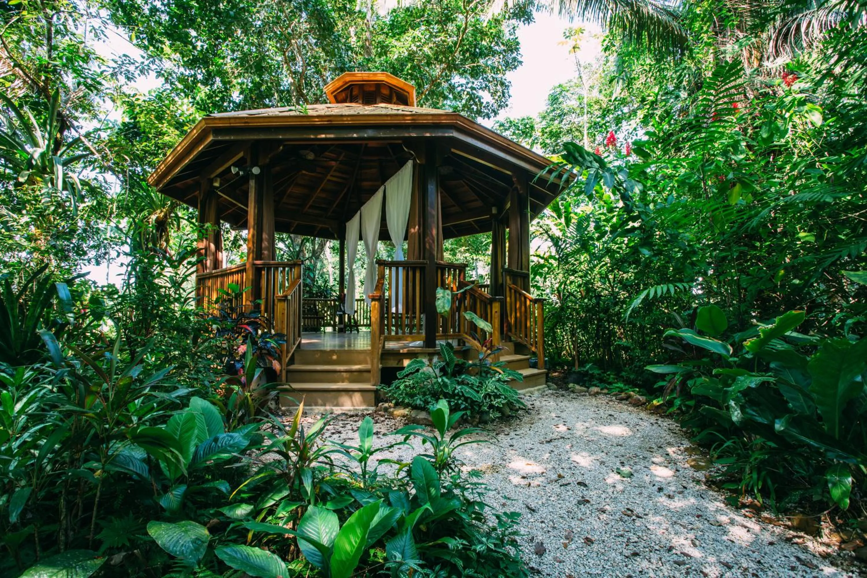 Ian Anderson Caves Branch Jungle Lodge