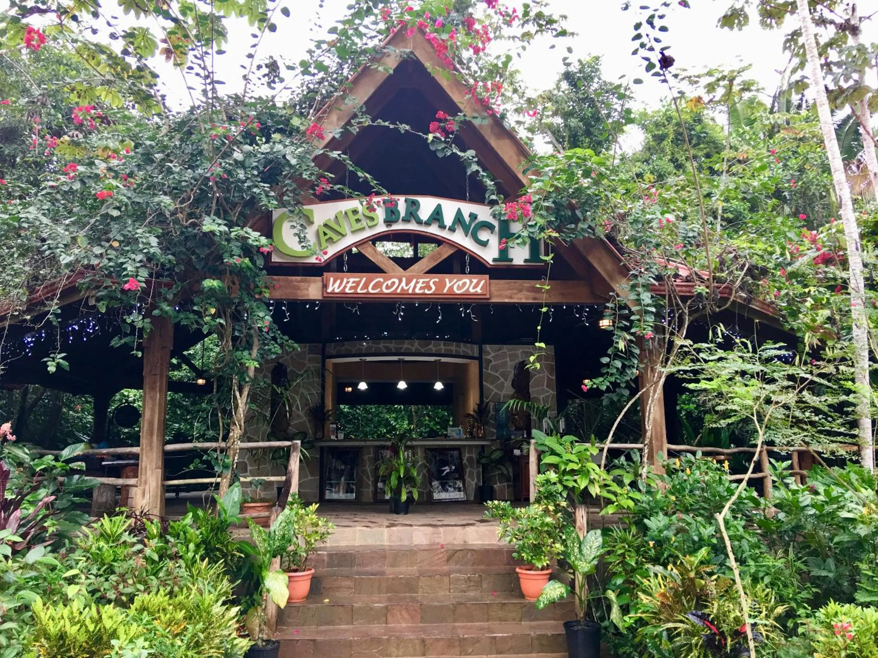 Ian Anderson Caves Branch Jungle Lodge