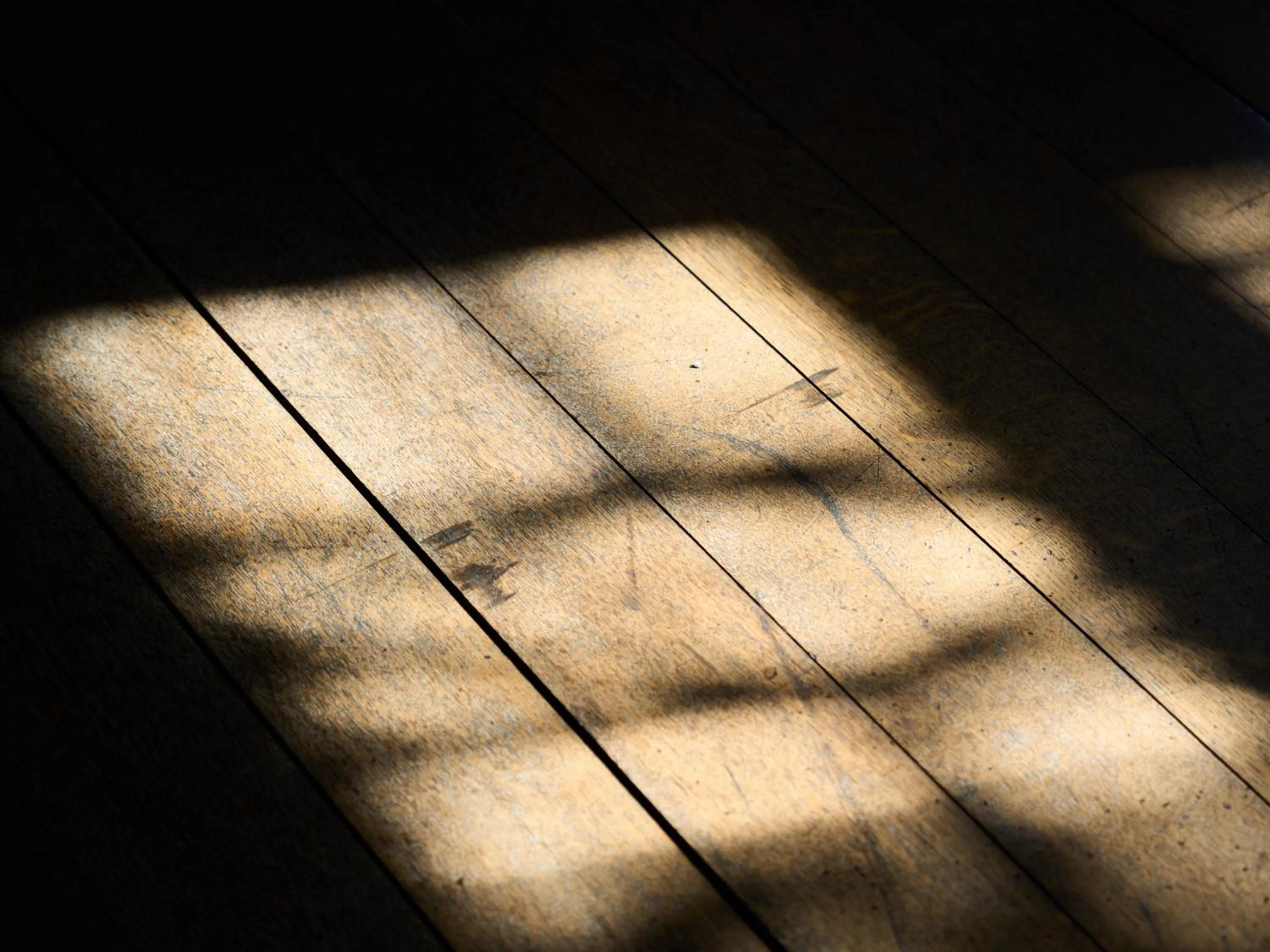 Restaurant/places to eat in Tabist Kaihorow Otaru