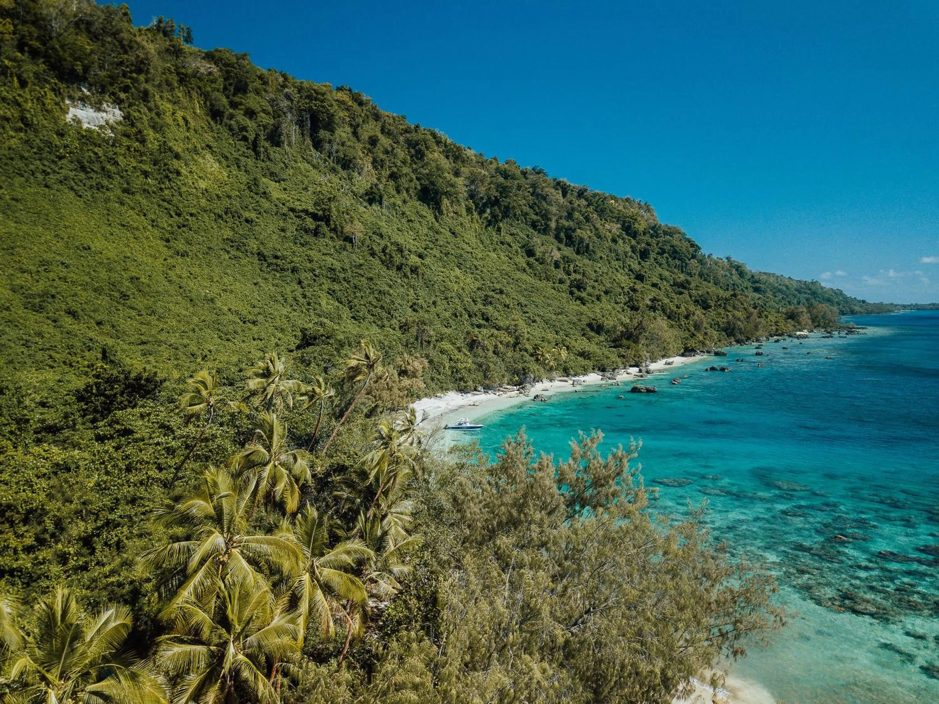 Beach in Trees and Fishes Private Retreat