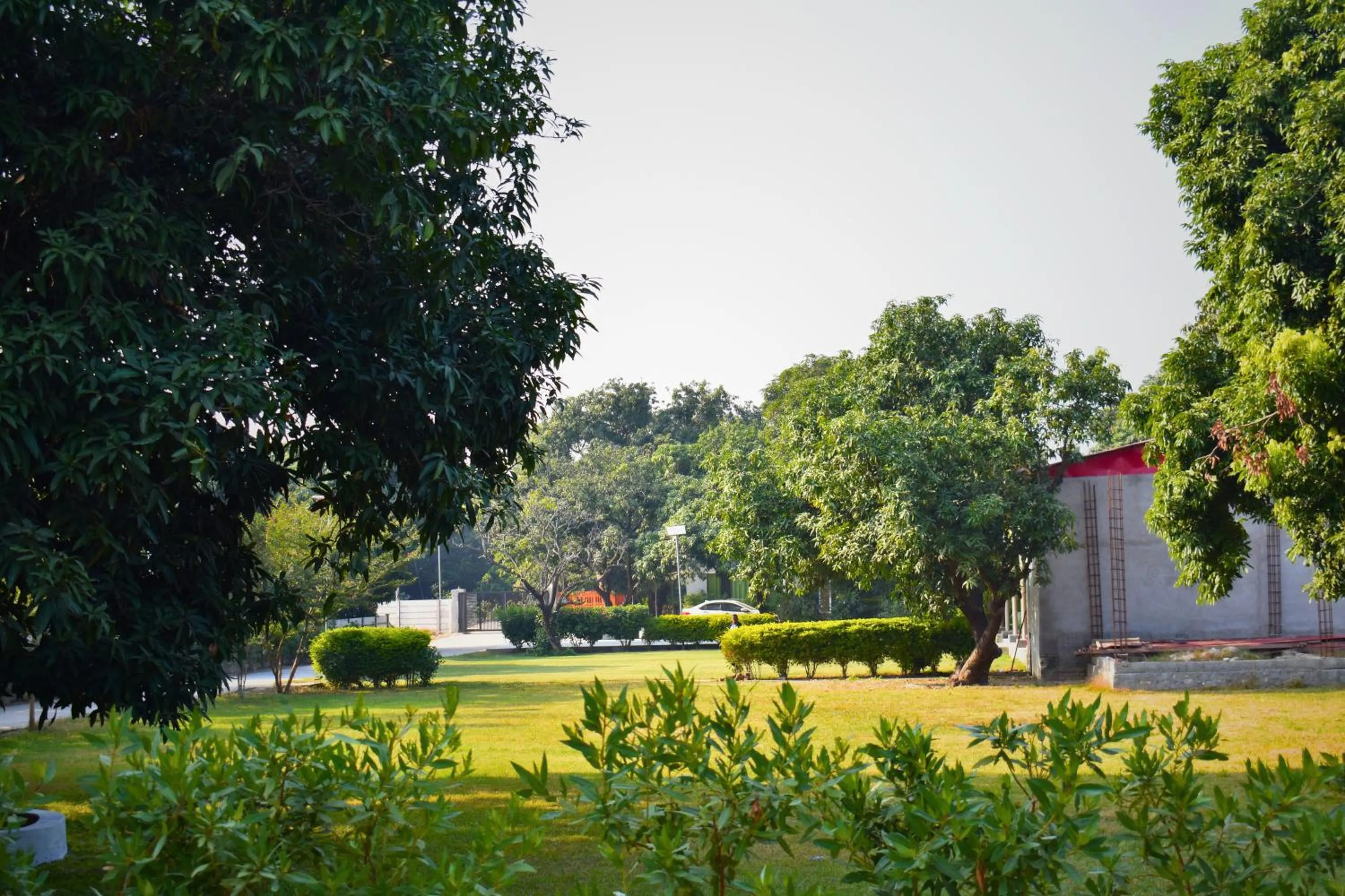 Garden in The Greenwich resort