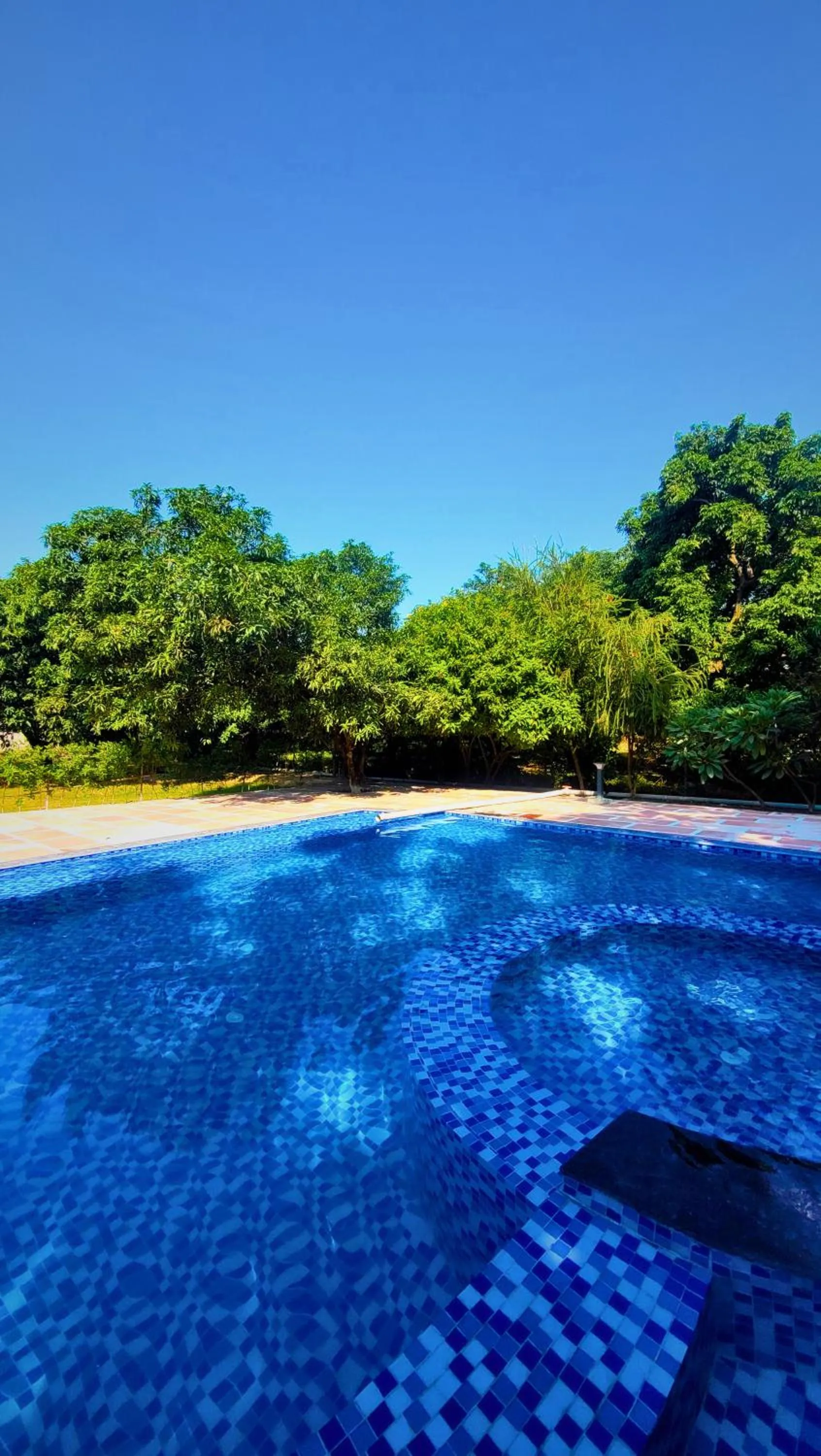 Swimming pool in The Greenwich resort