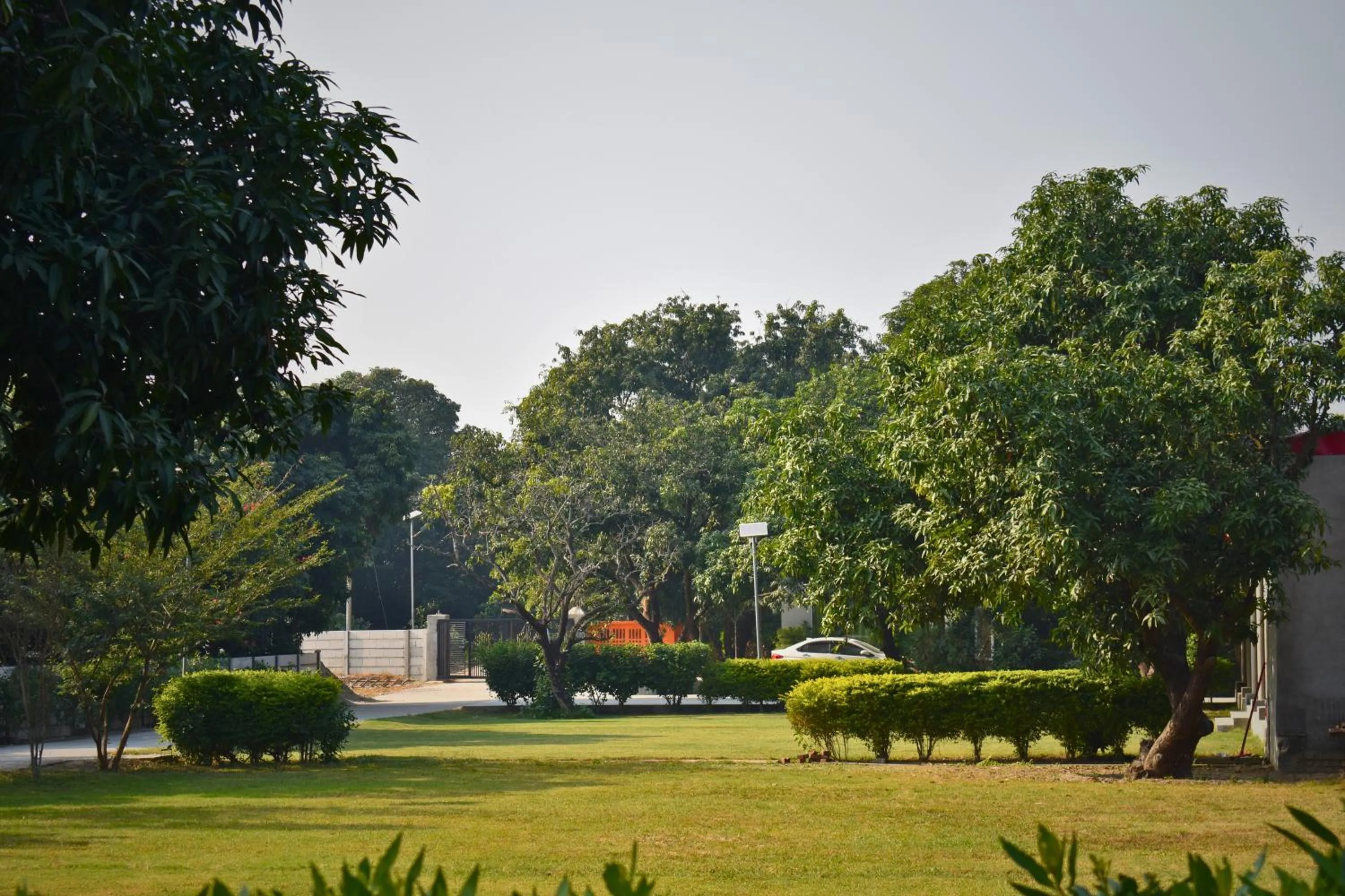 View (from property/room) in The Greenwich resort