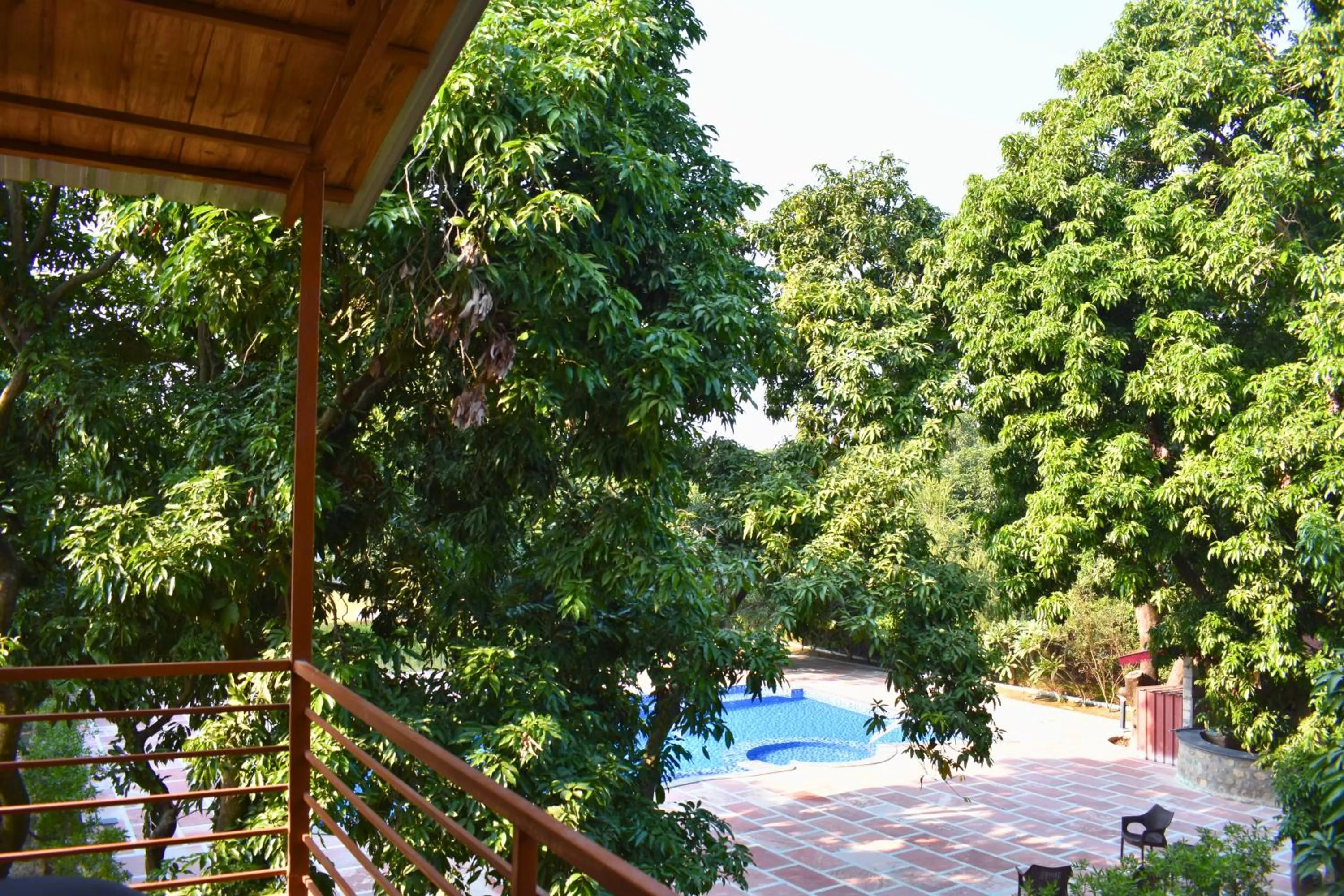Swimming pool in The Greenwich resort