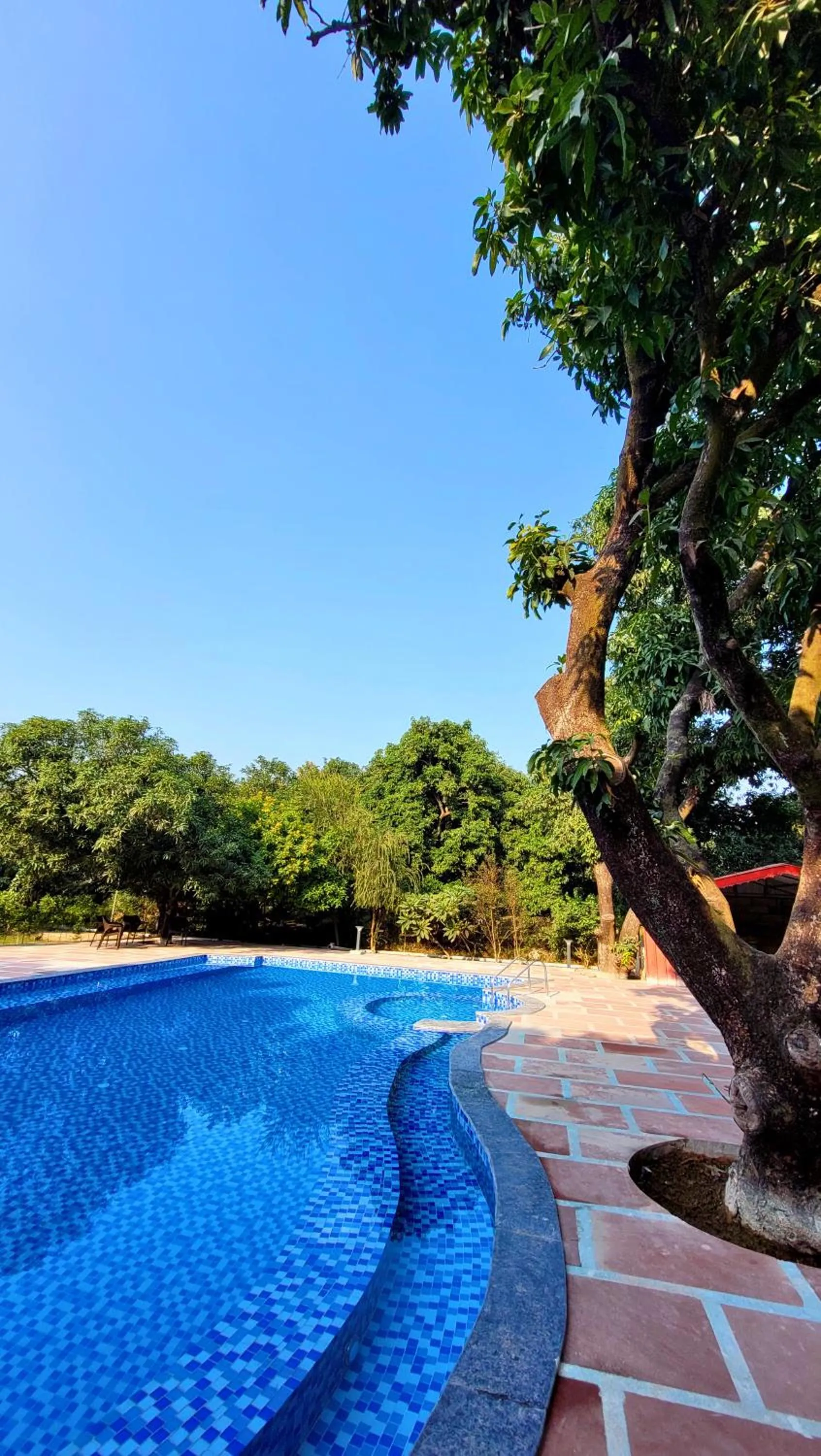 Swimming pool in The Greenwich resort