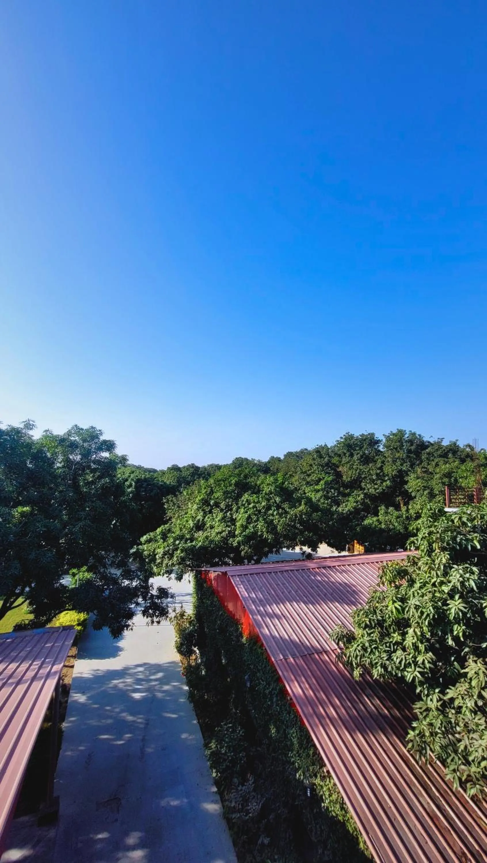 View (from property/room) in The Greenwich resort