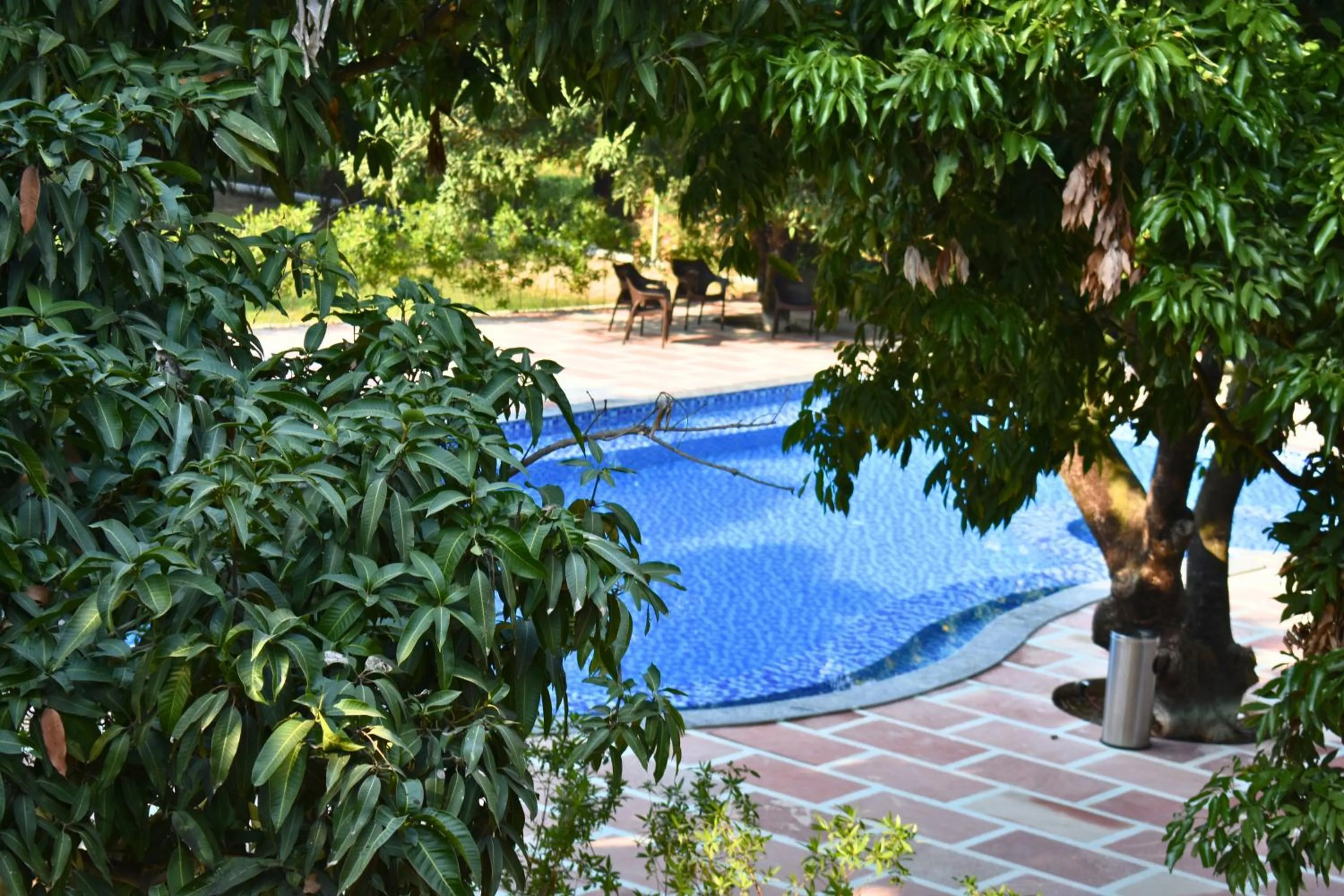 Balcony/Terrace in The Greenwich resort