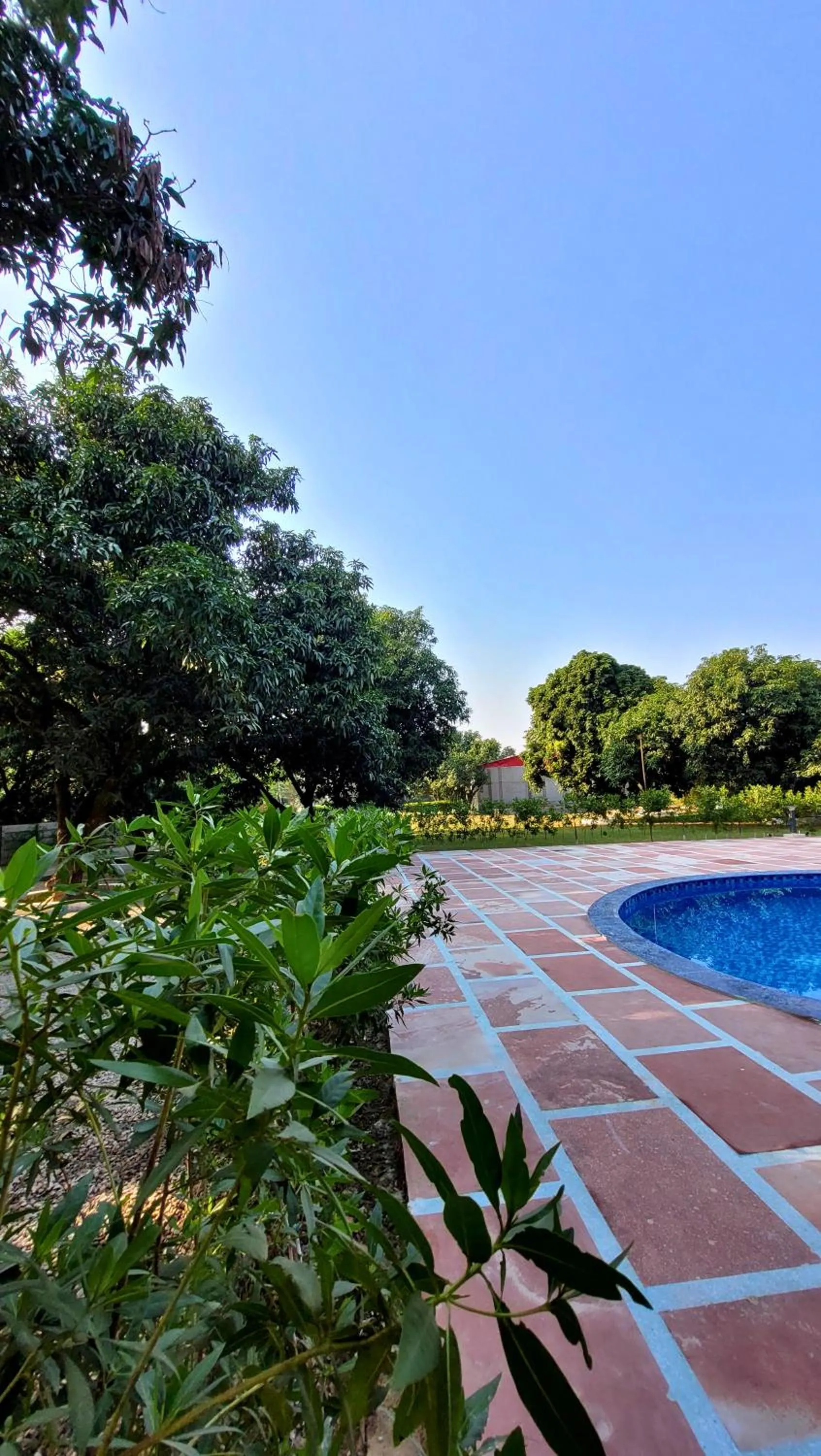 Swimming pool in The Greenwich resort