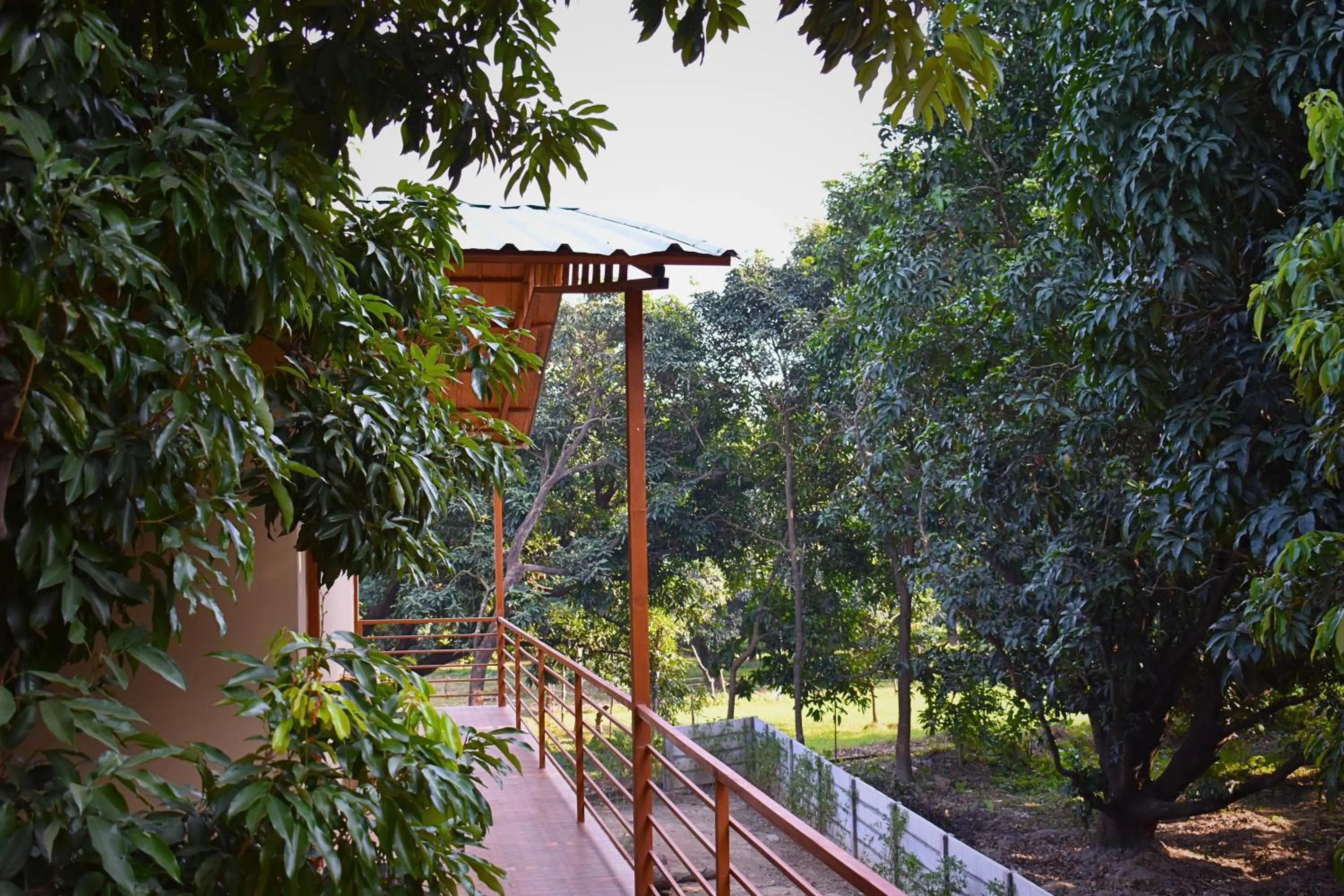 Balcony/Terrace in The Greenwich resort