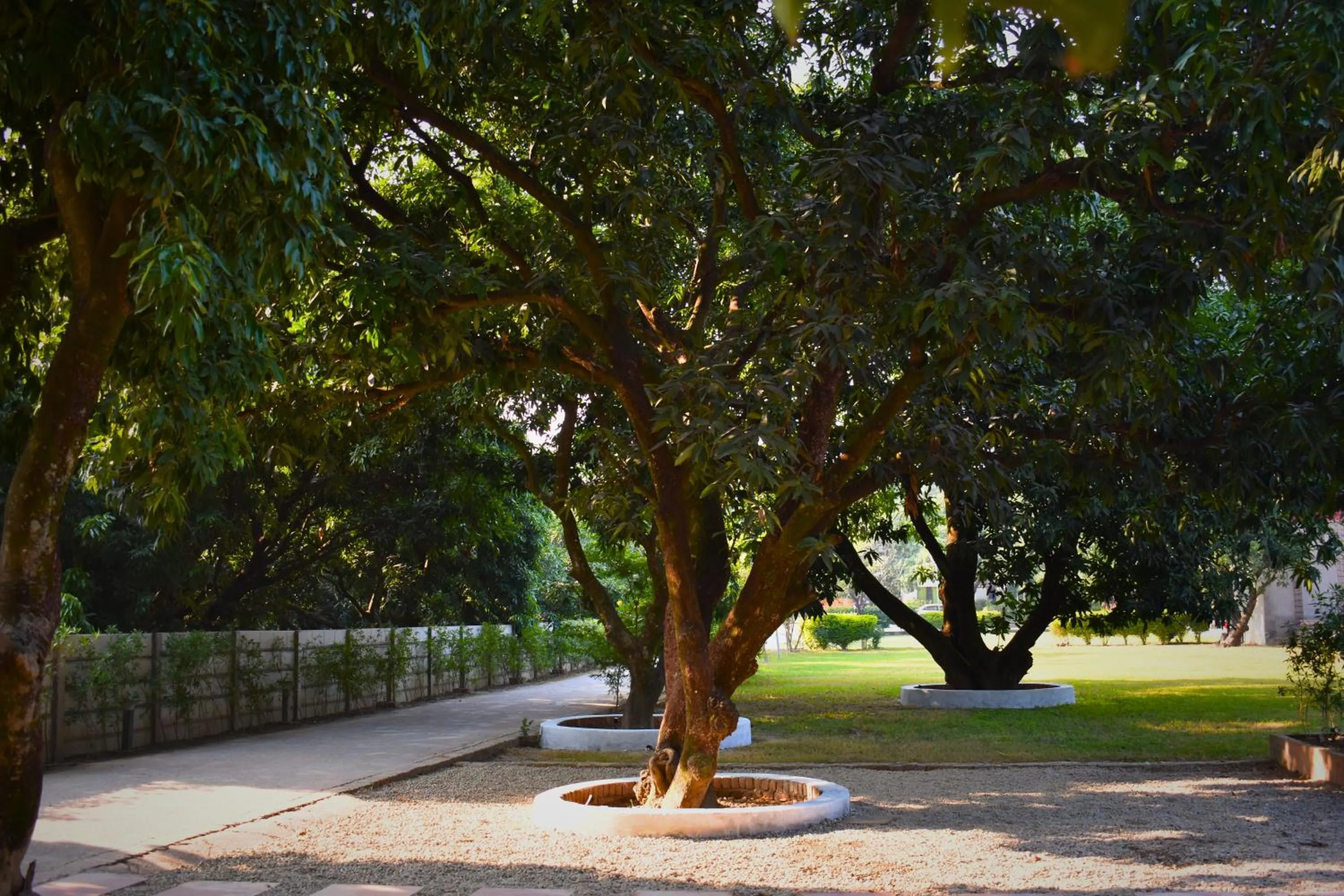 Garden in The Greenwich resort
