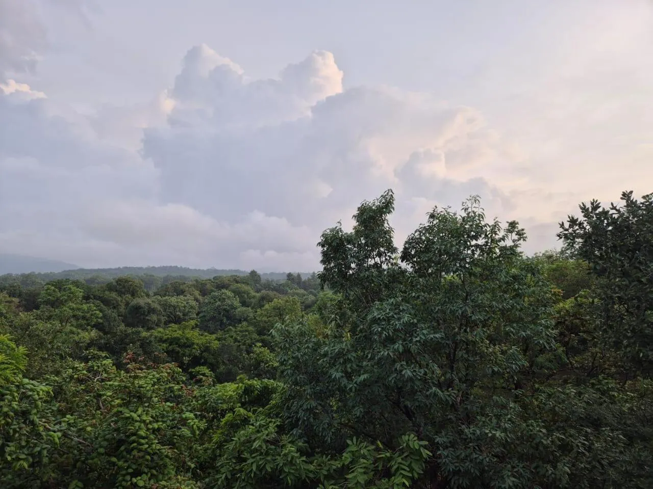 Mountain view in Citrus Prime Hill Queen Resort