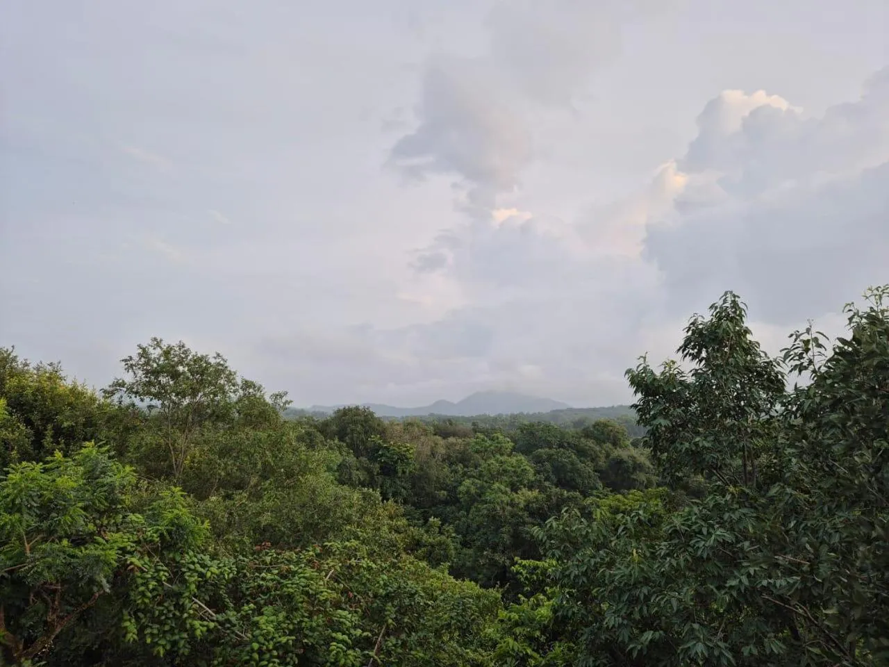 Mountain view in Citrus Prime Hill Queen Resort