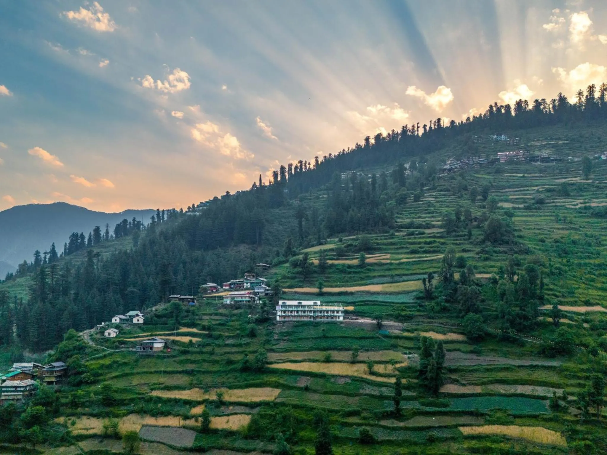 Property building in Moustache Shoja, Jibhi