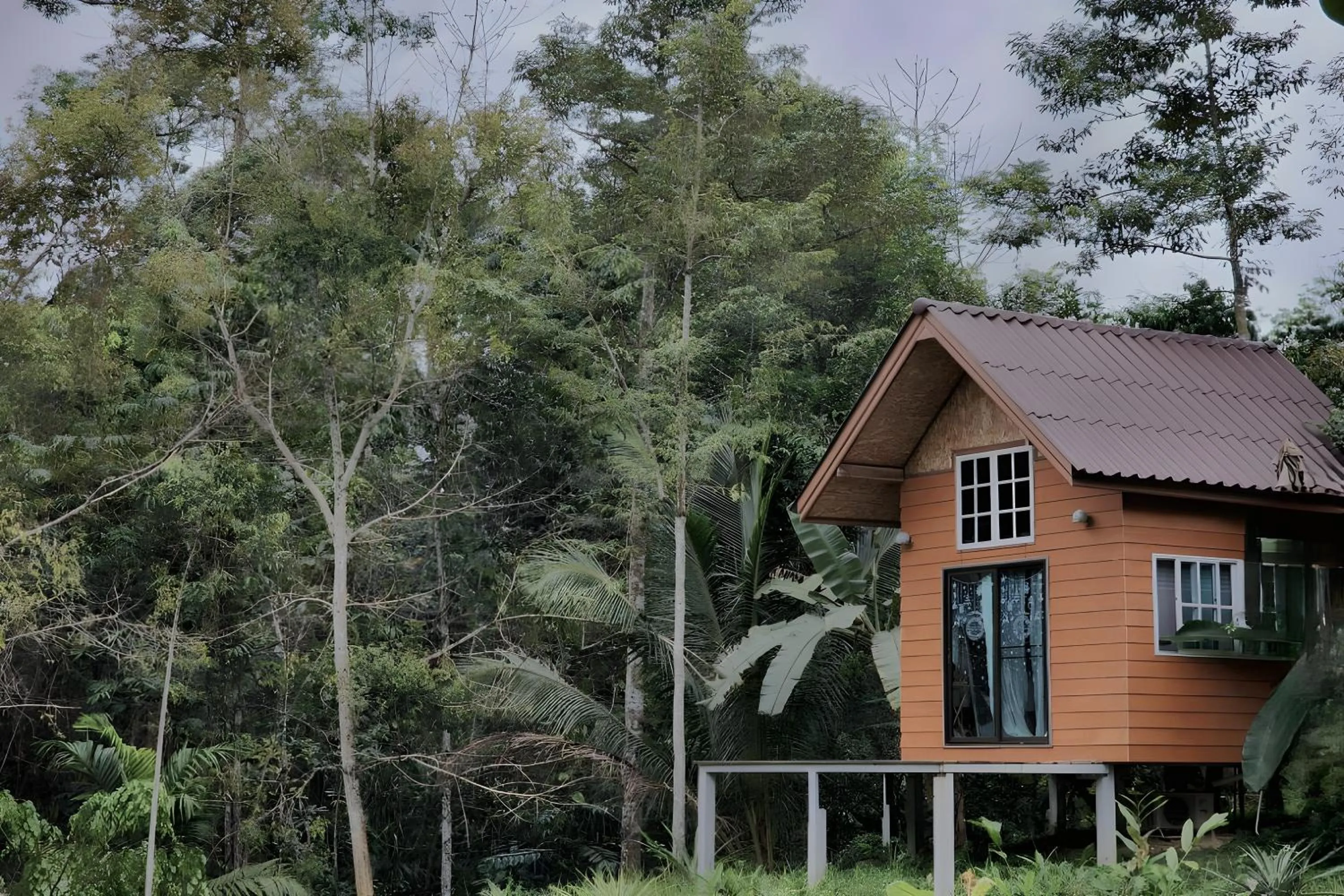 Property building in Rat Min House