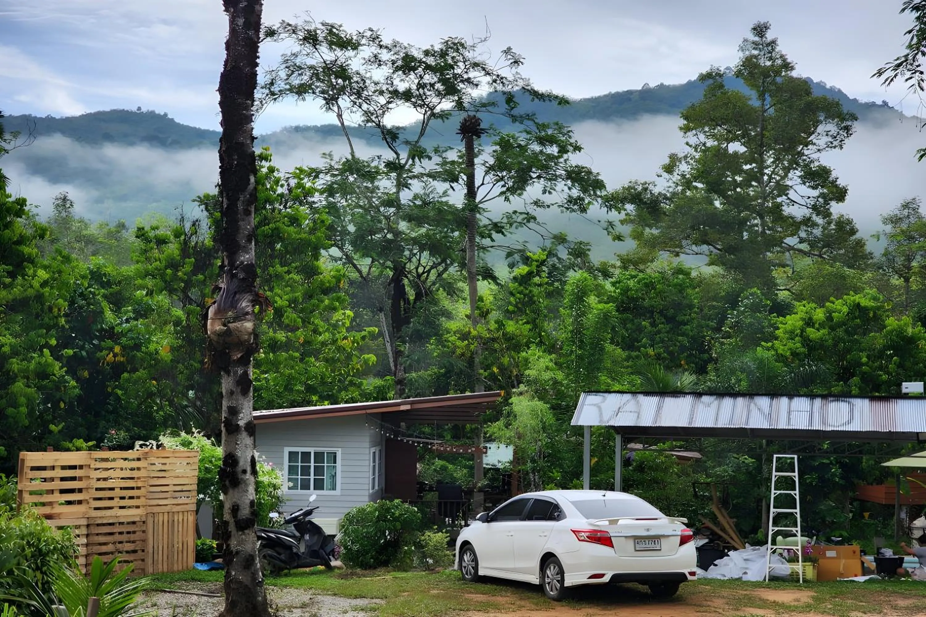 Property building in Rat Min House