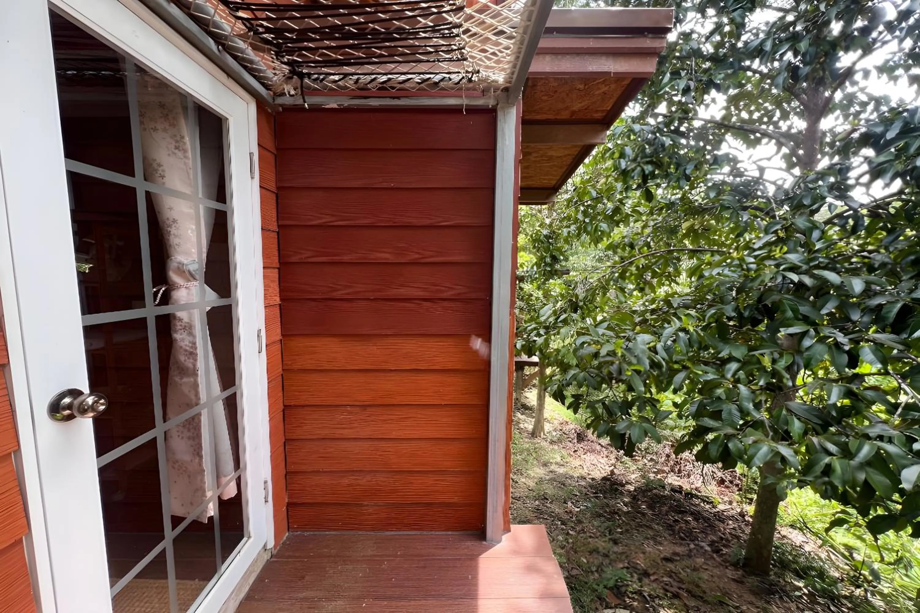 Garden view in Rat Min House