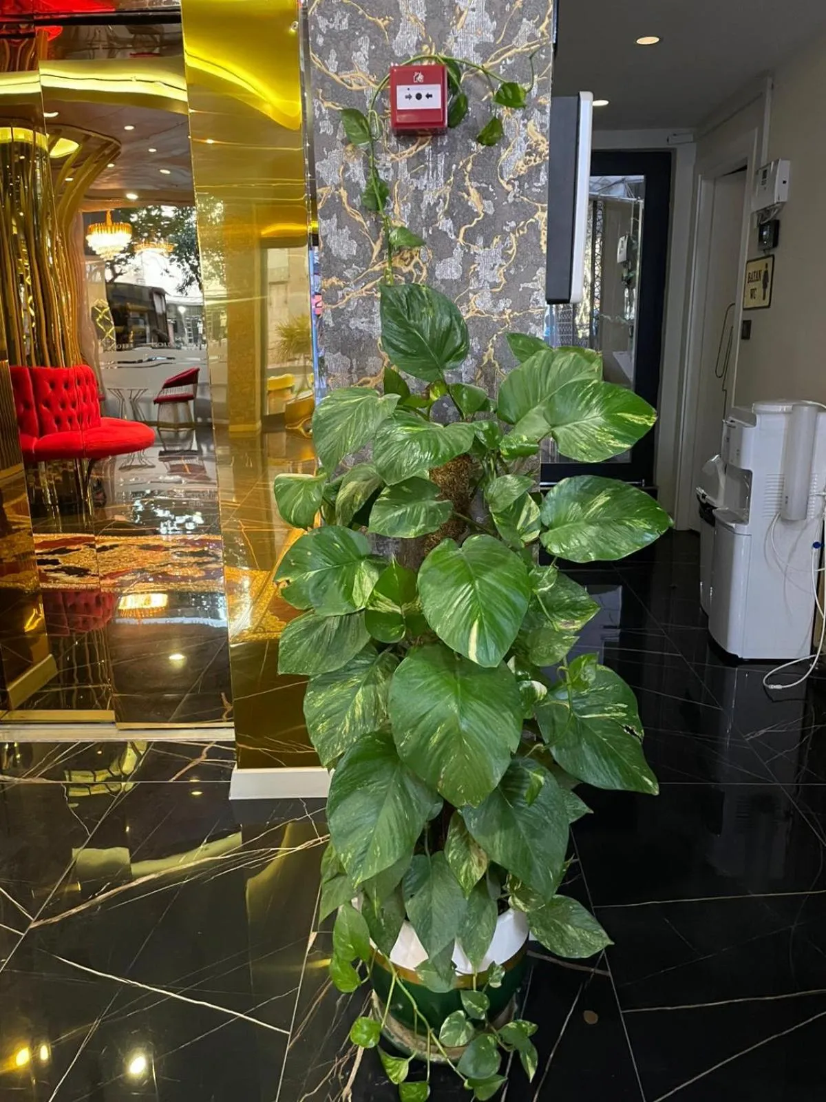 Lobby or reception in Golden Lux Hotel Antalya