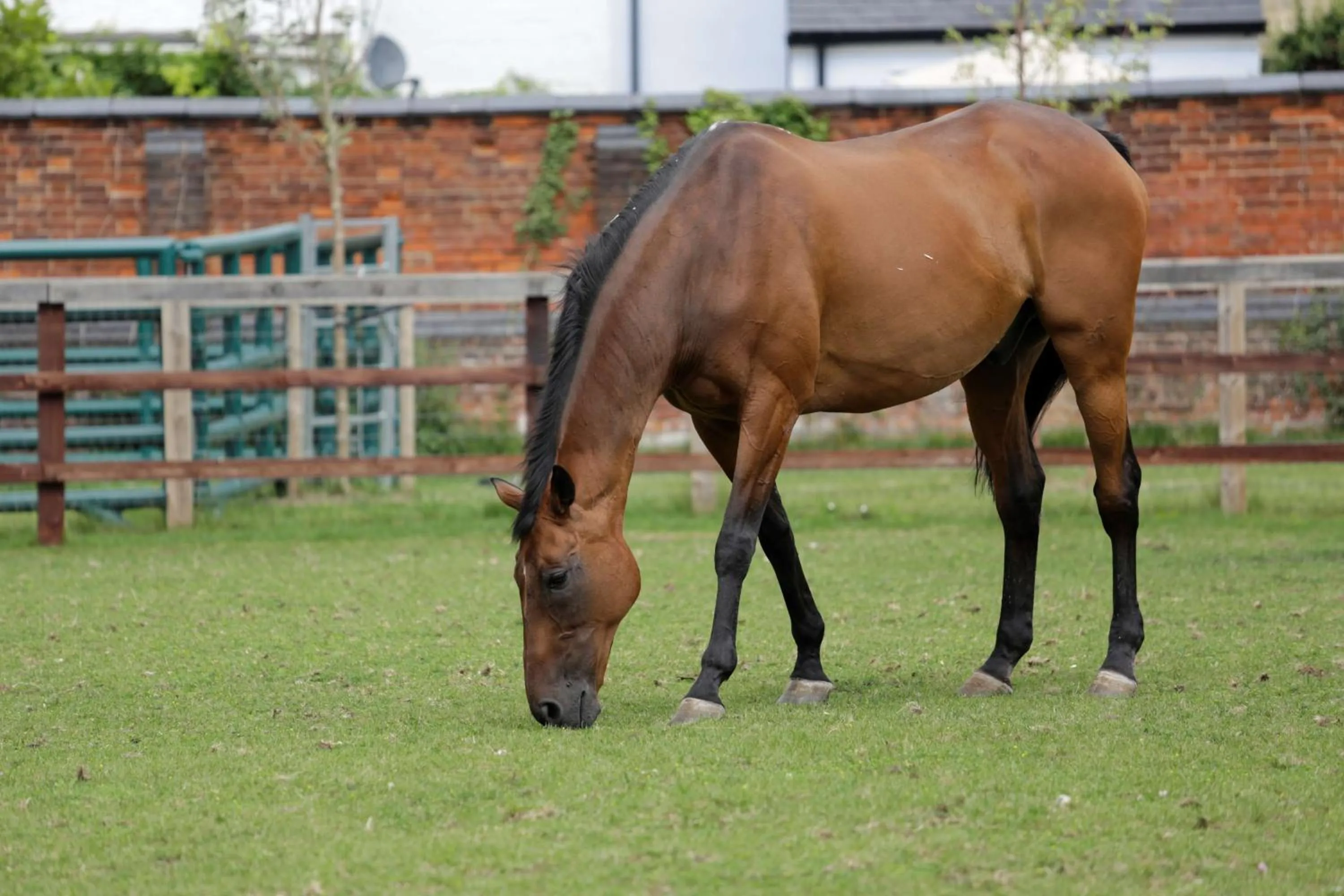 On site in Best Western Heath Court Hotel