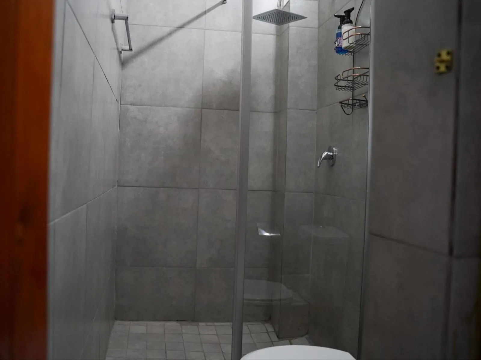 Shower in Aqua Guest House