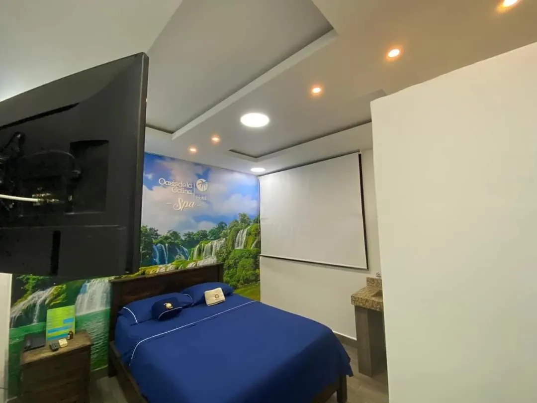 Bed in Hotel deluxe oasis de la colina boutique