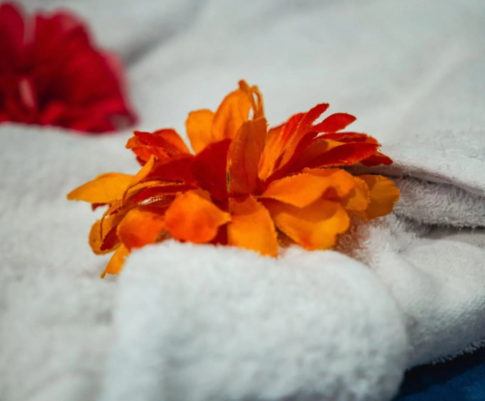 Hotel deluxe oasis de la colina boutique