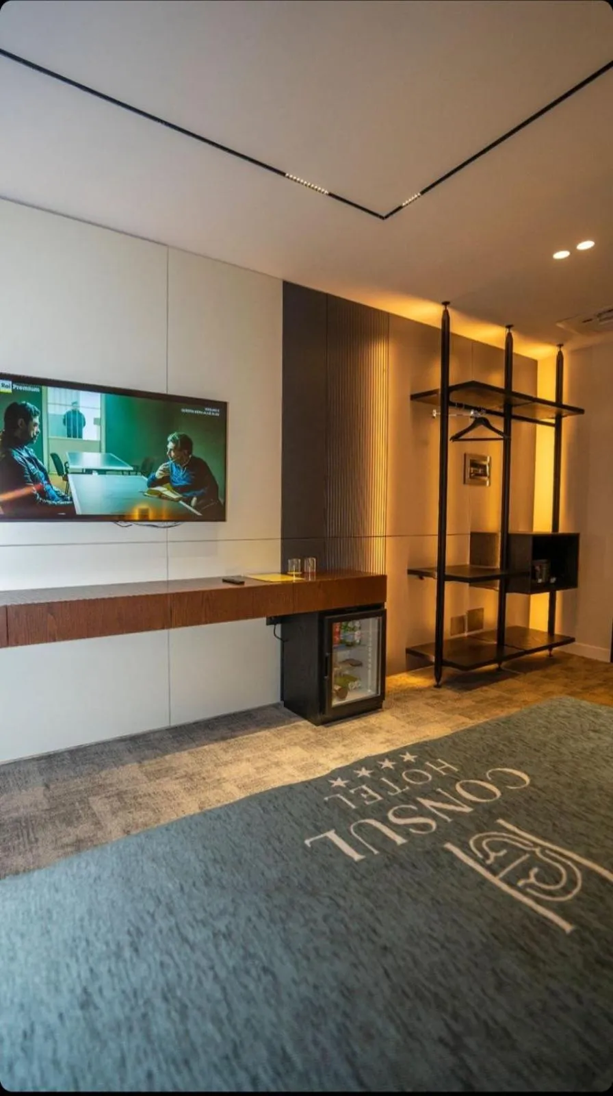 TV and multimedia in Hotel Consul