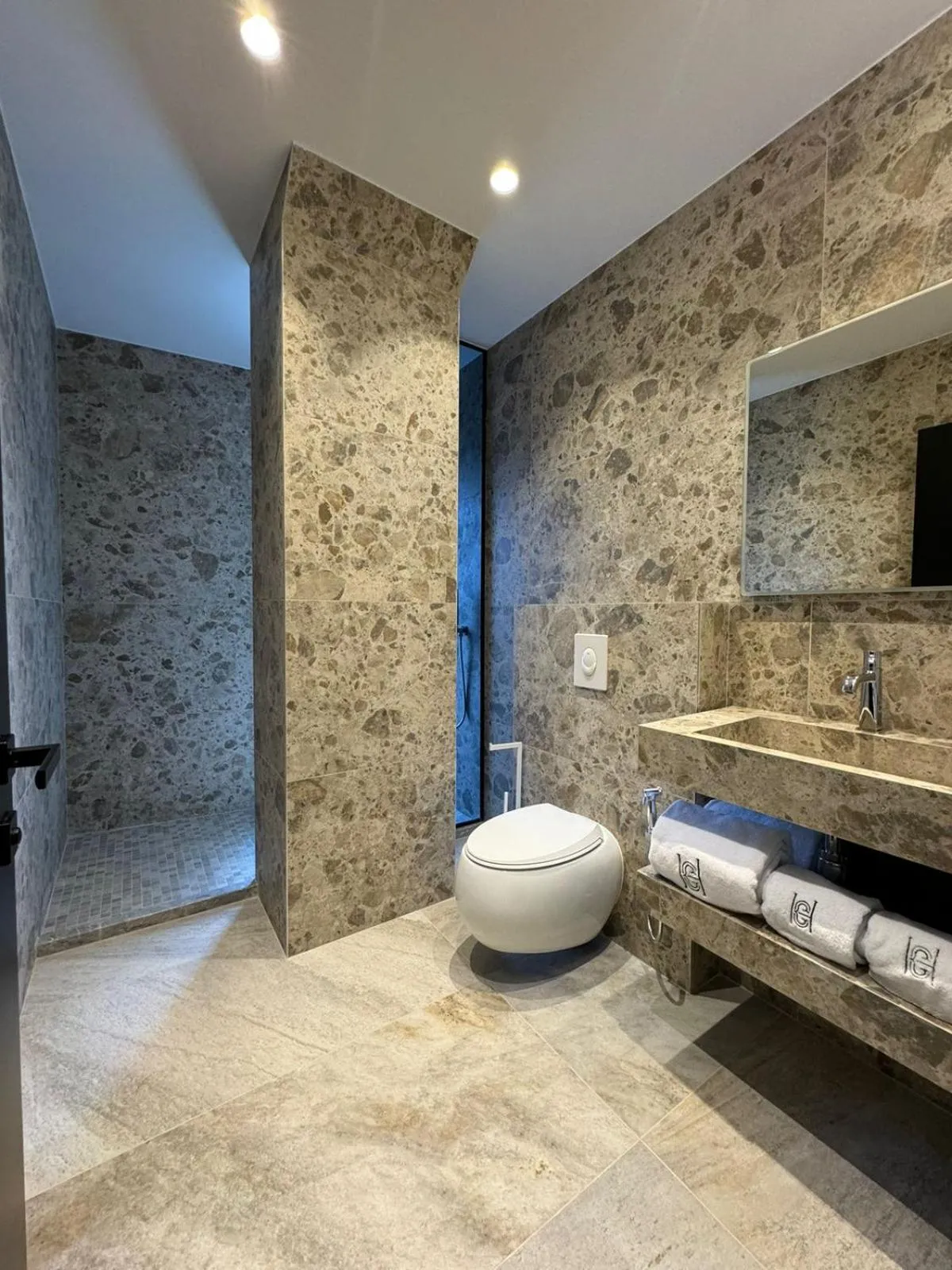 Shower in Hotel Consul