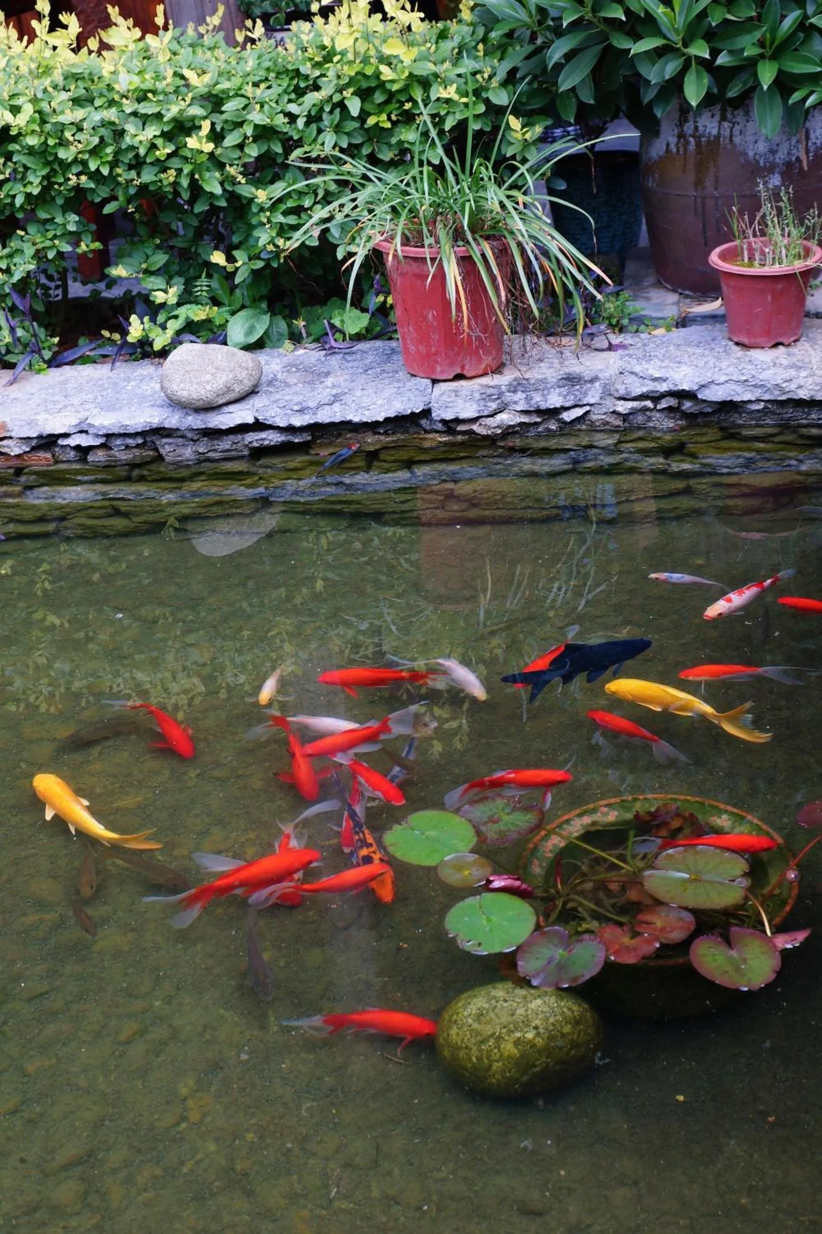 Garden view in Yangshuo Mountain Nest Boutique Hotel