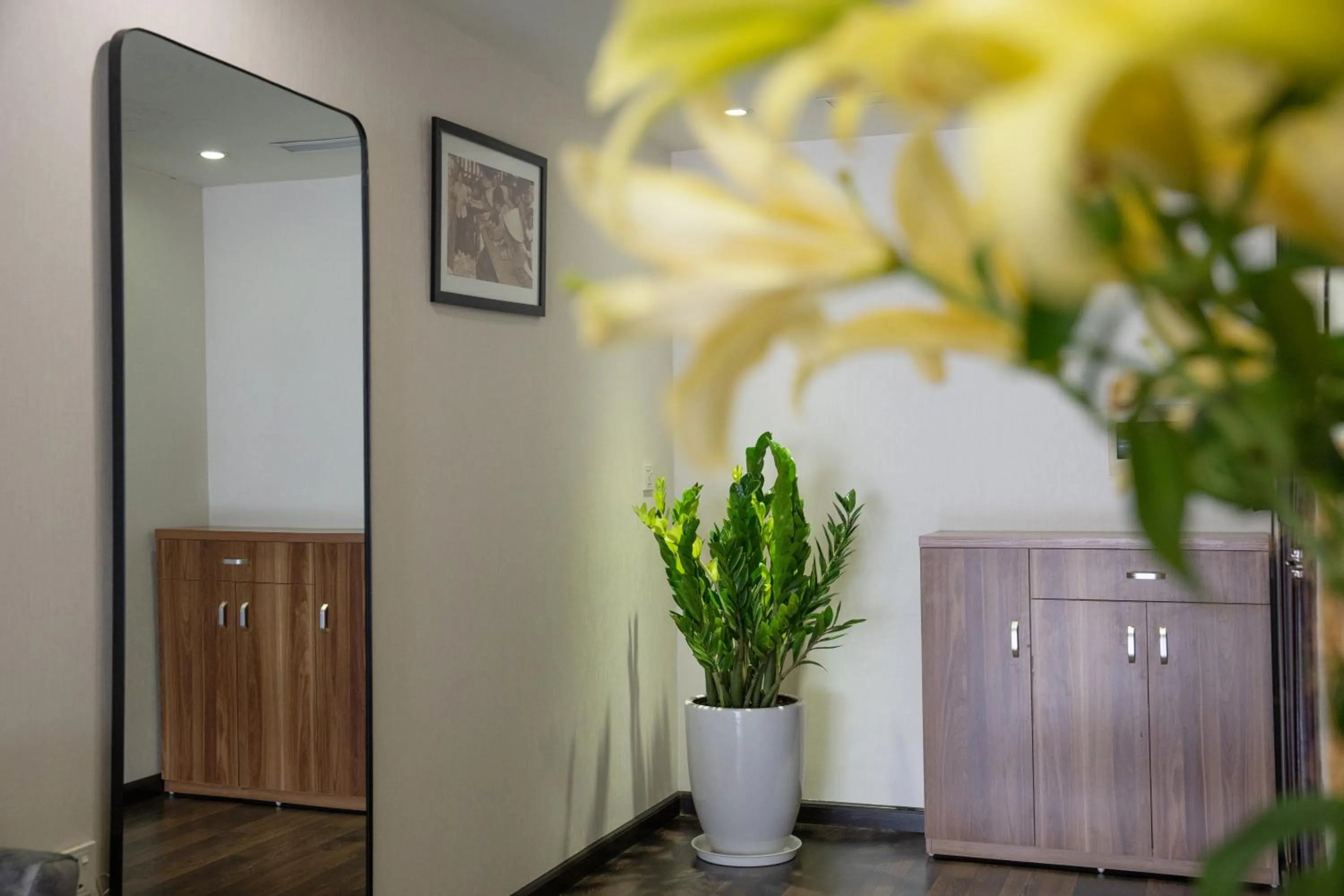 wardrobe in Viet Vuong Building Ha Noi Capital