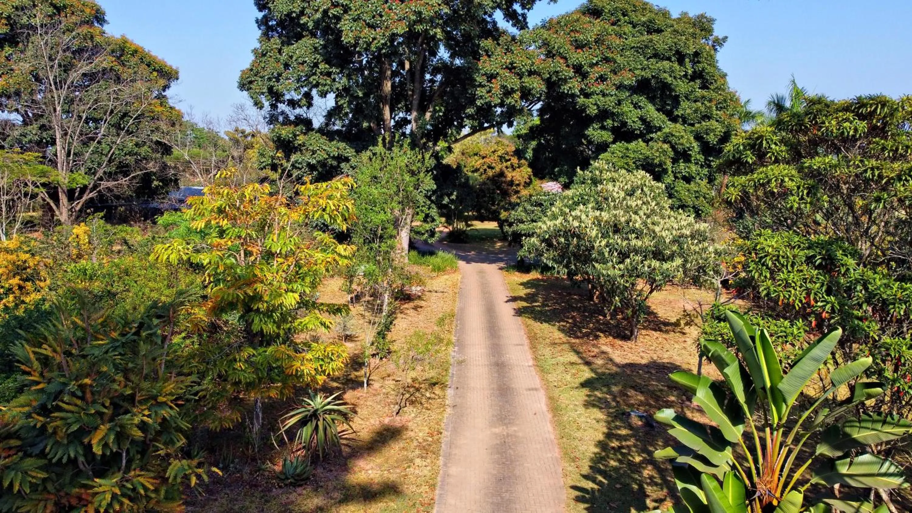 Garden in ilanda Guest House