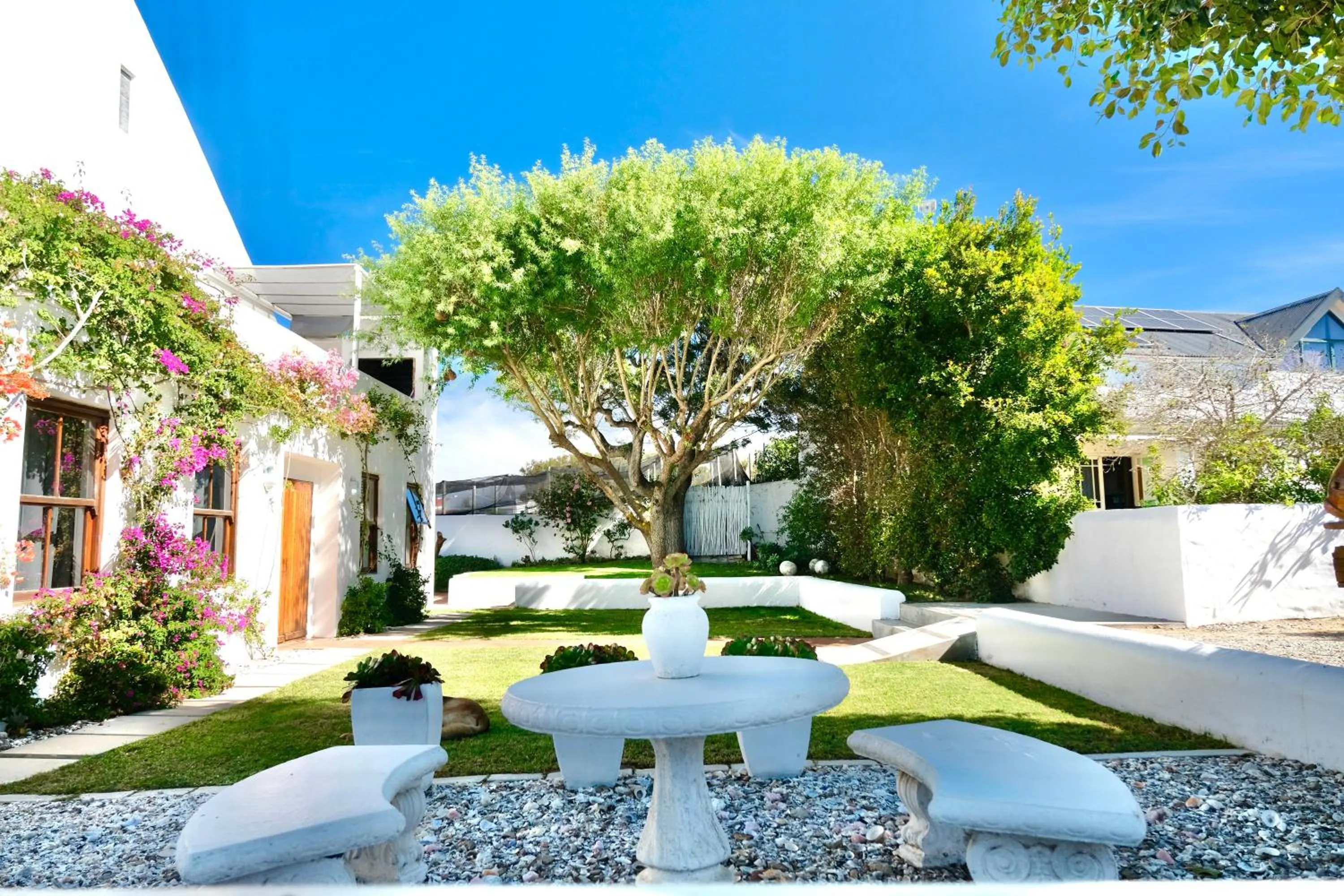 Garden in Paternoster Place