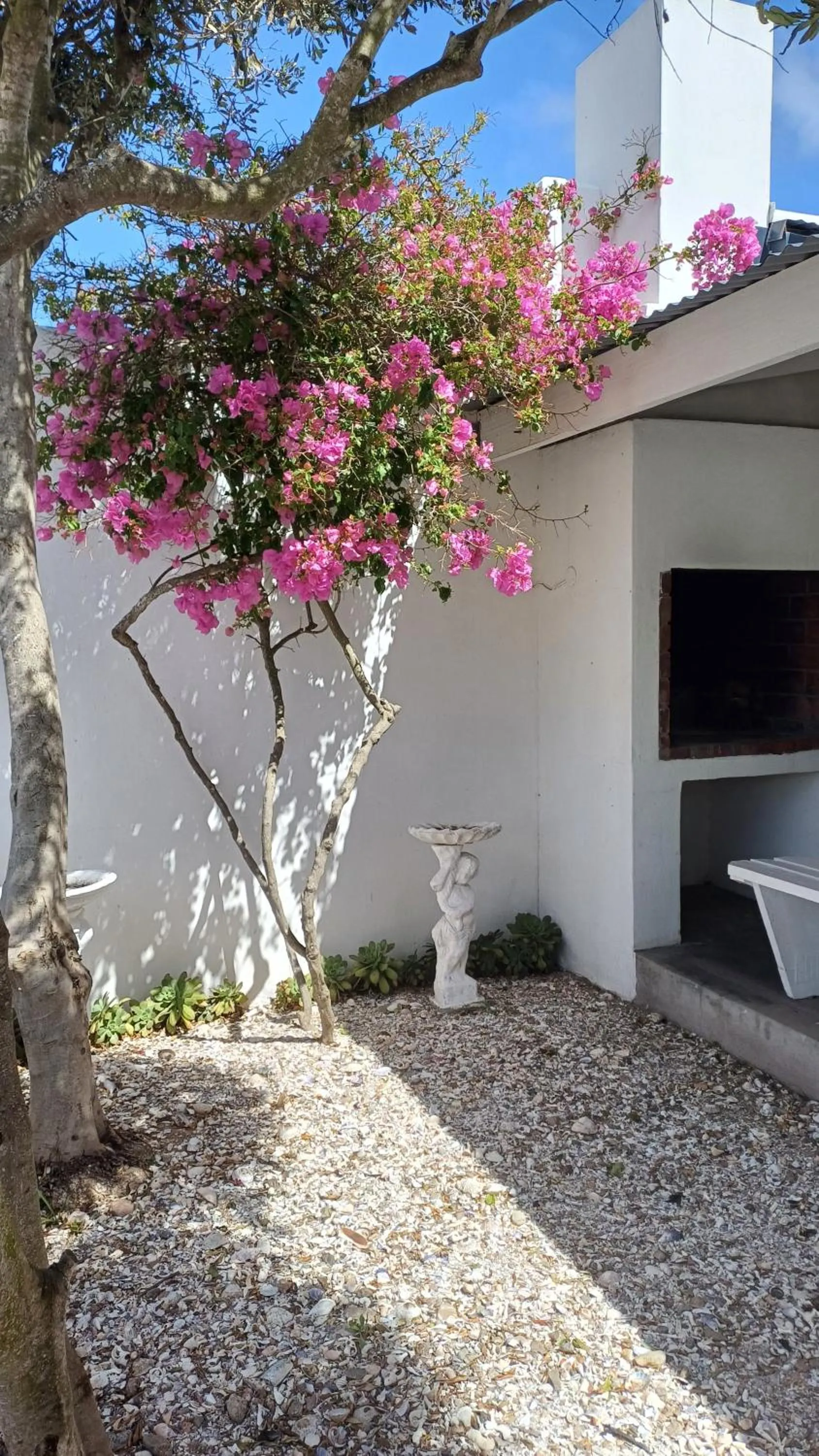 Garden view in Paternoster Place