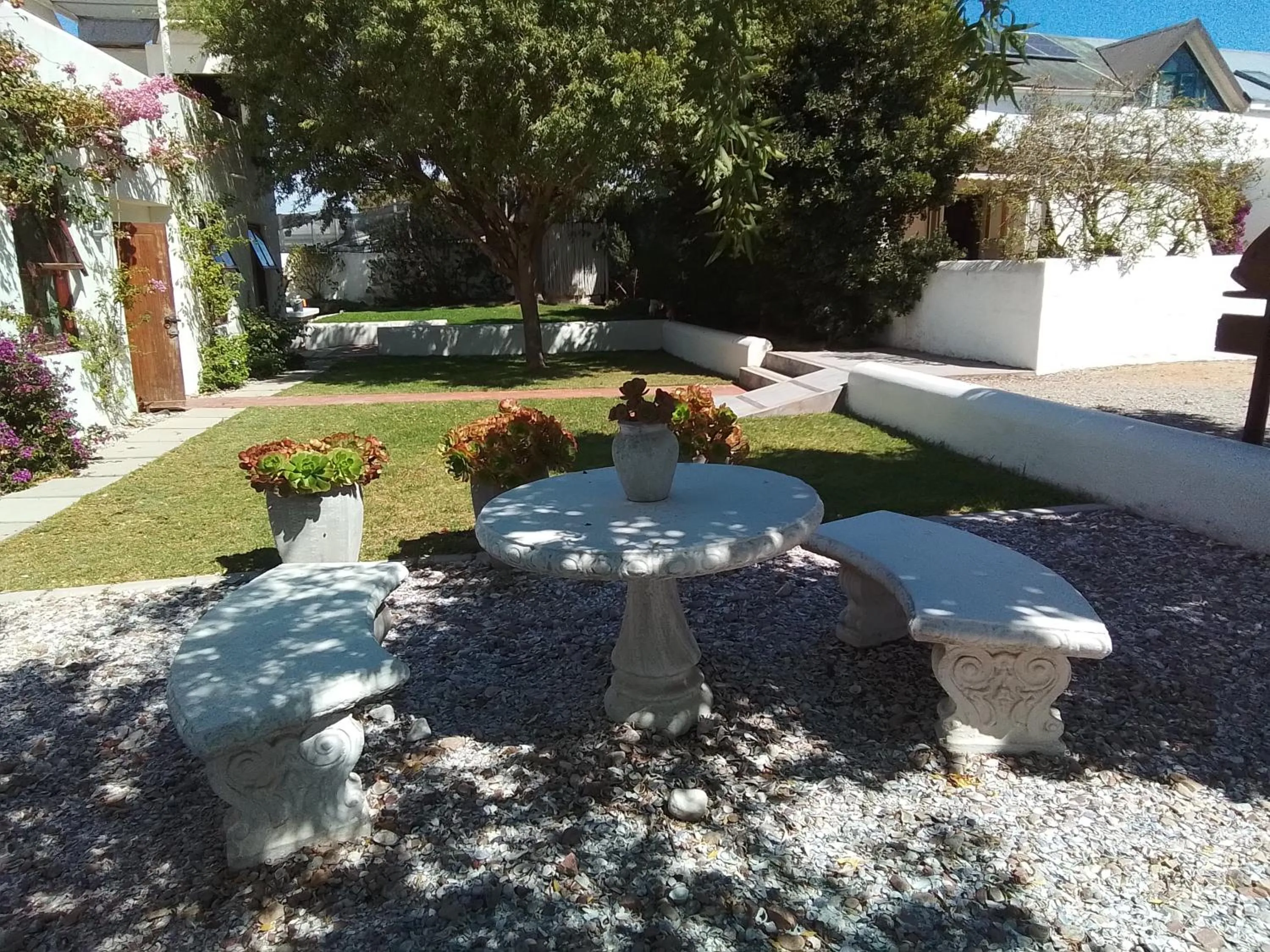 Garden in Paternoster Place