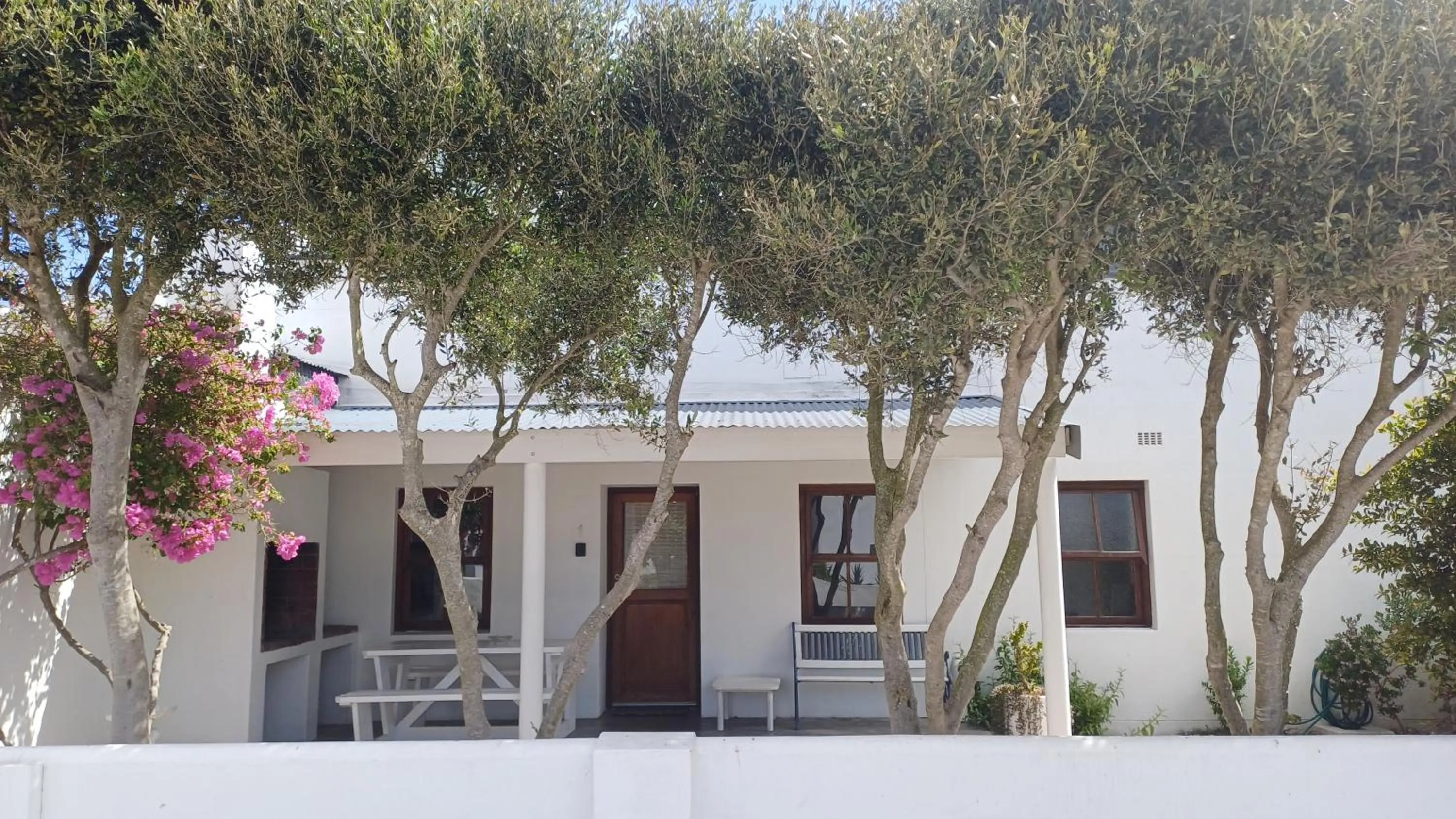 Garden in Paternoster Place