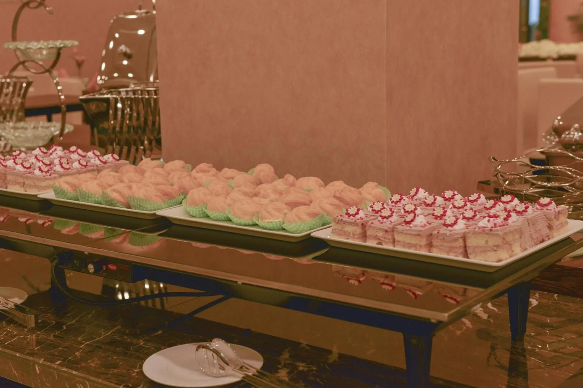 Food close-up in Aristo International Hotel