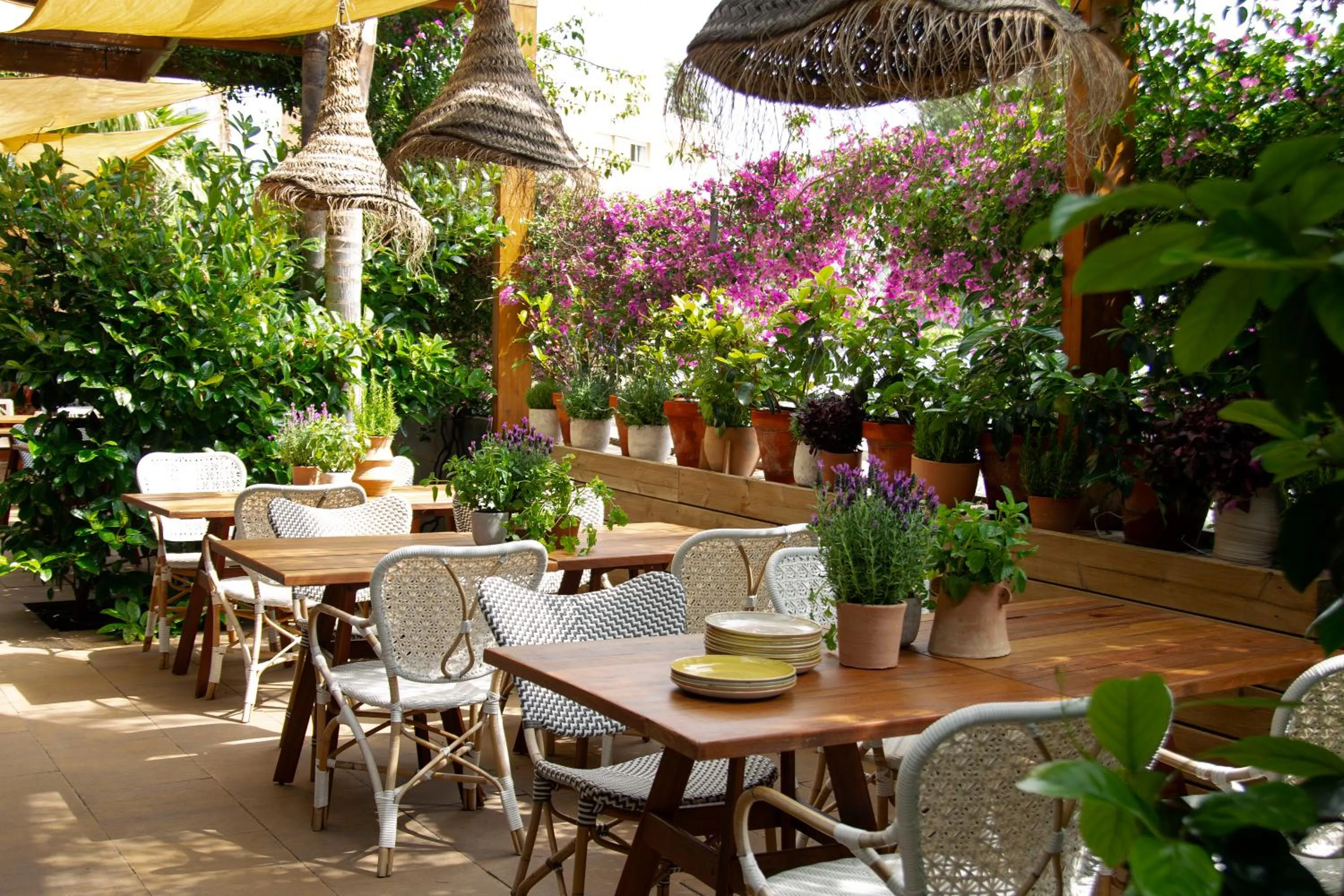 Restaurant/places to eat in Altafulla Mar Hotel