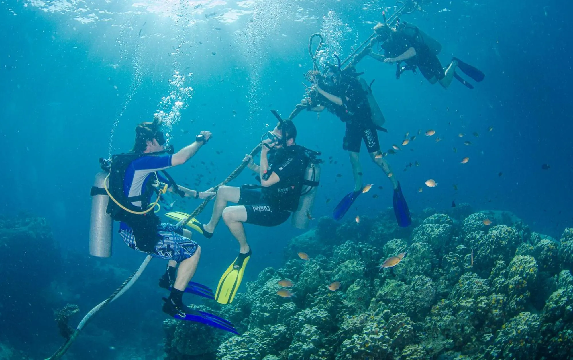 Diving in Woodlawn Villas Resort