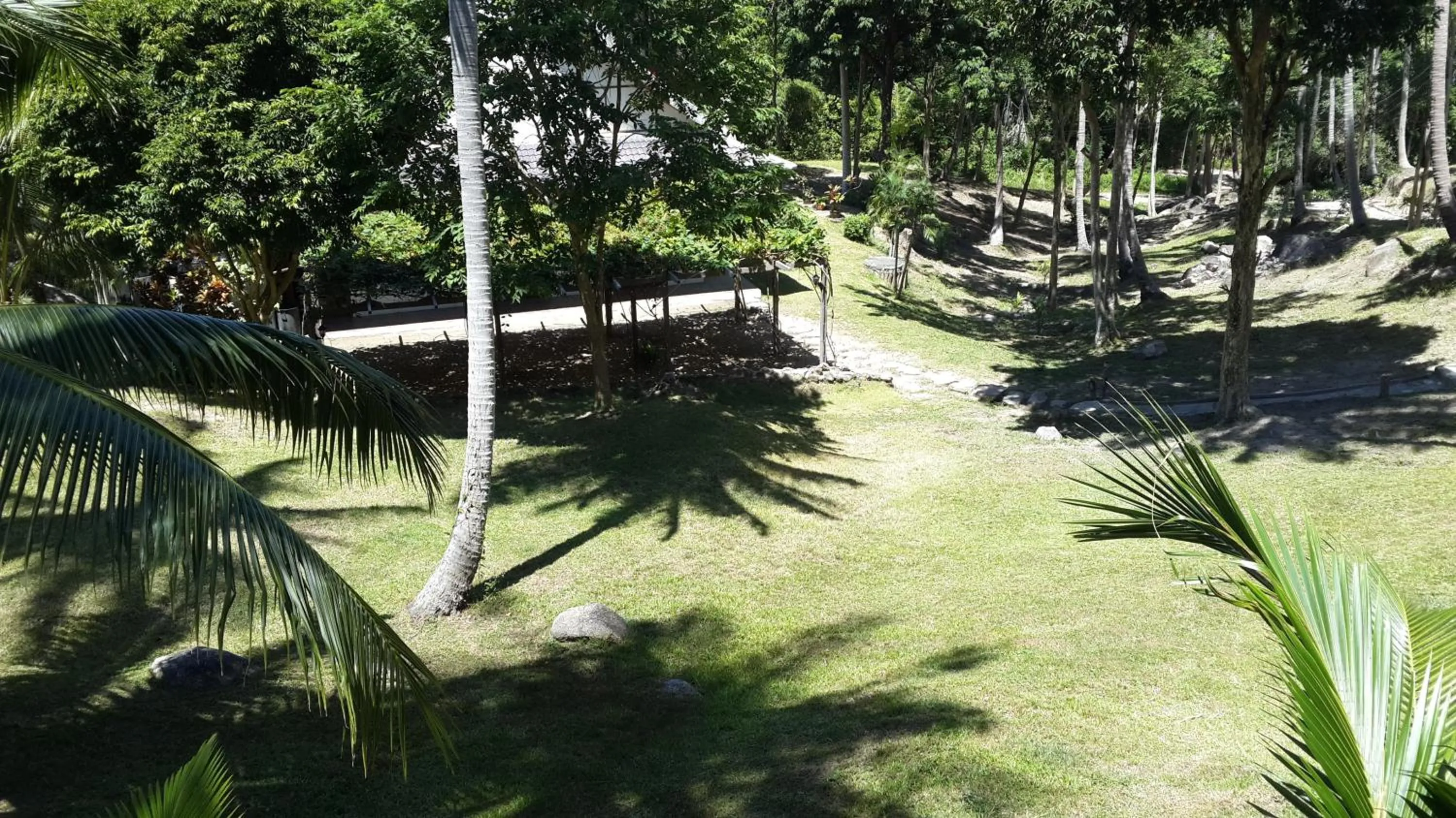 Garden in Woodlawn Villas Resort