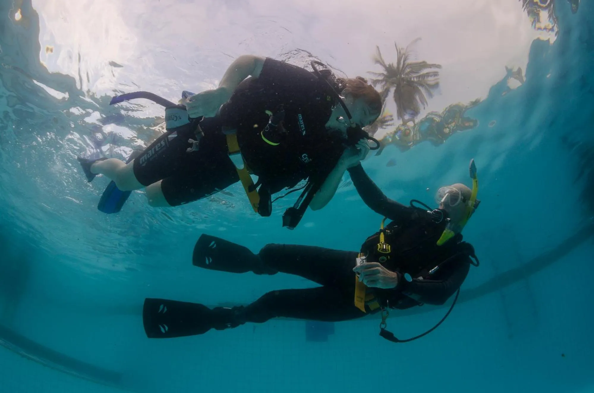 Diving in Woodlawn Villas Resort